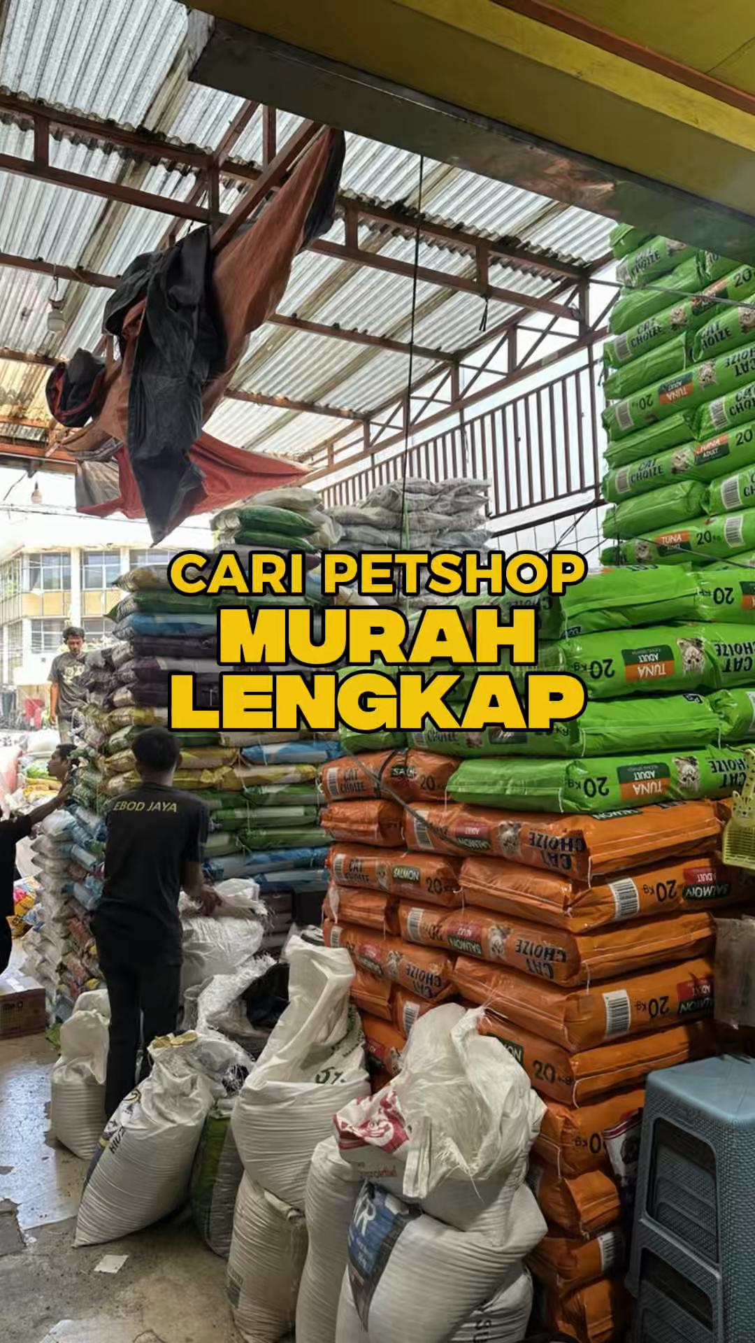 @bejo petmart