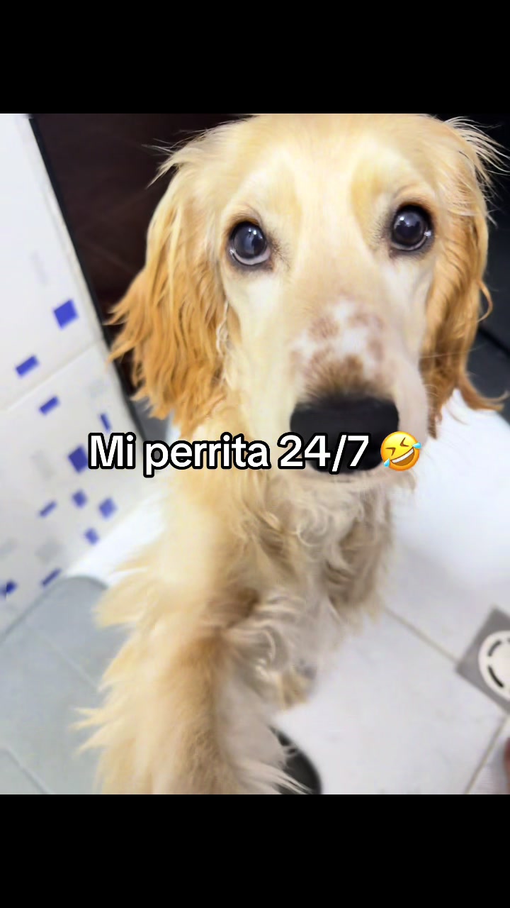 @Valentina Cortes Montoya🩷