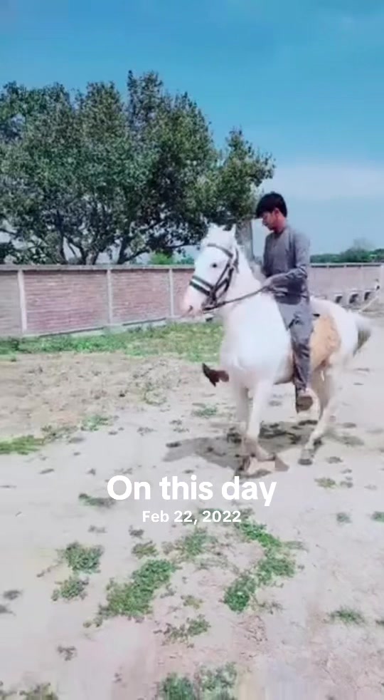 @tasawarsandhu