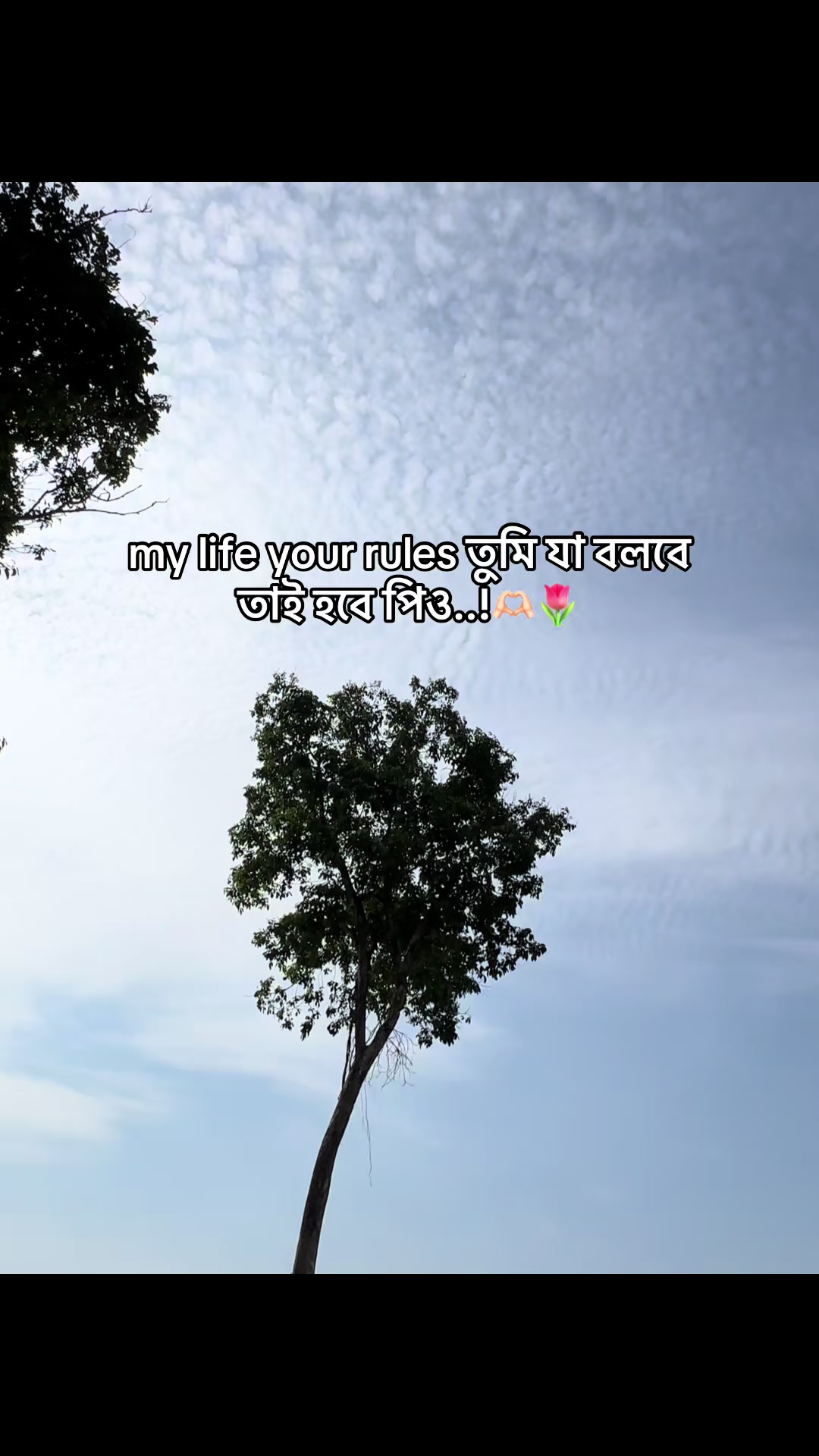 @🔰 𝗦 𝗔 𝗗 𝗜 𝗞 🔰'♡