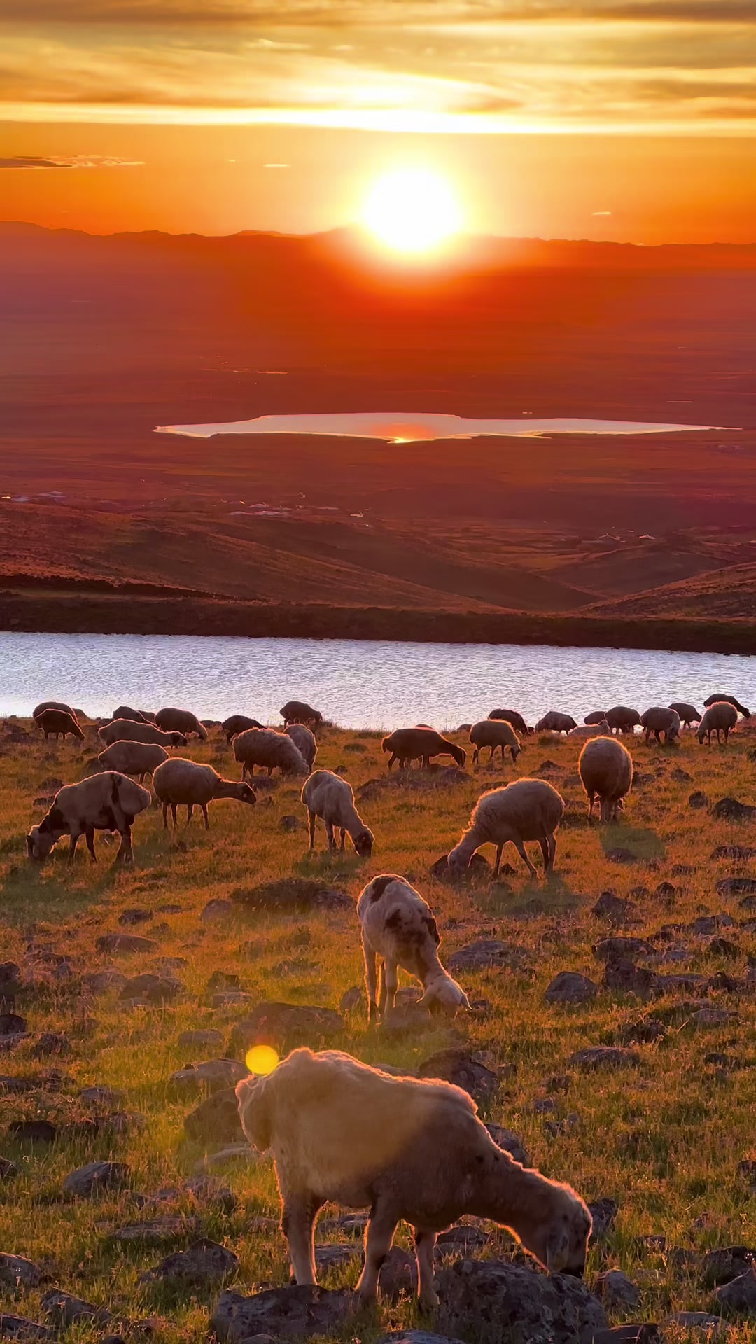 @𝗘𝗟İ𝗧 Ş𝗜𝗪𝗔𝗡☀️