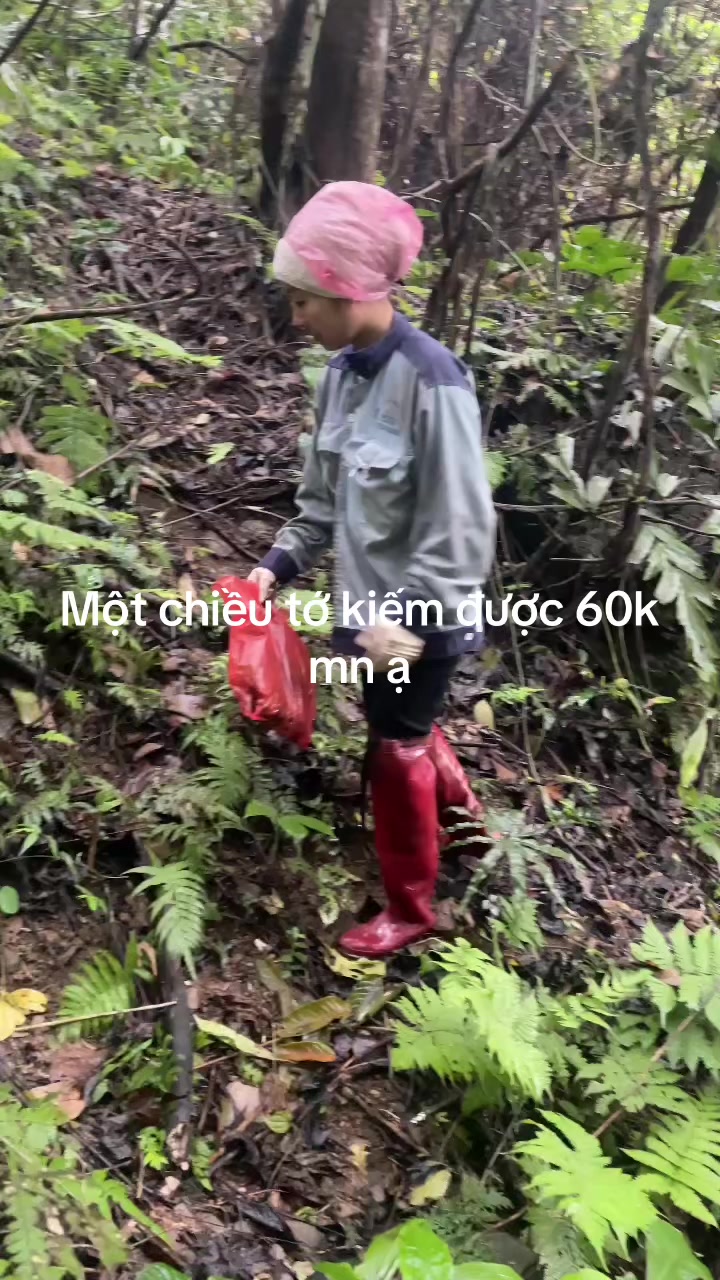 @Phượng ớt 💚