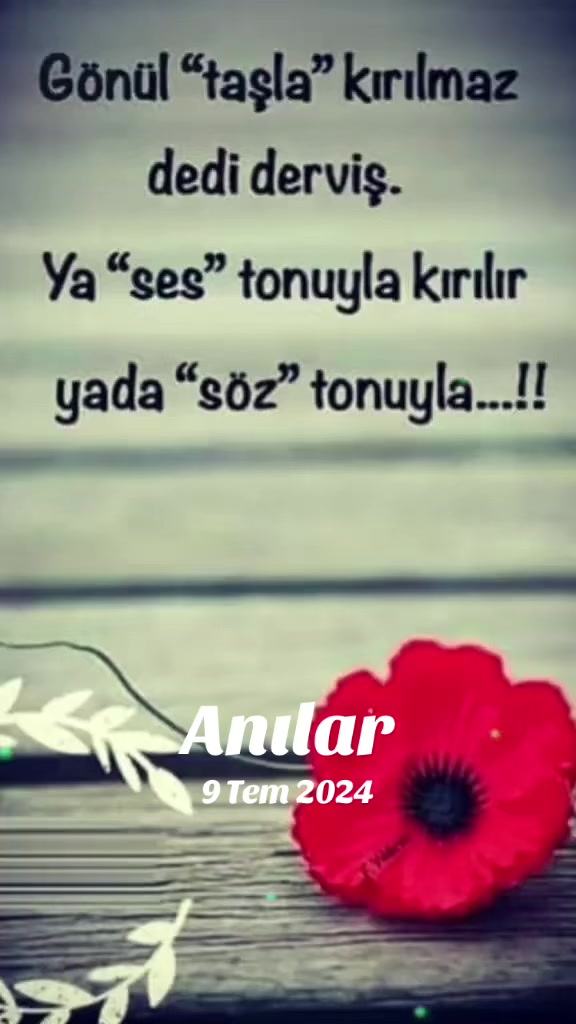 @🐞LâMaZi🐞