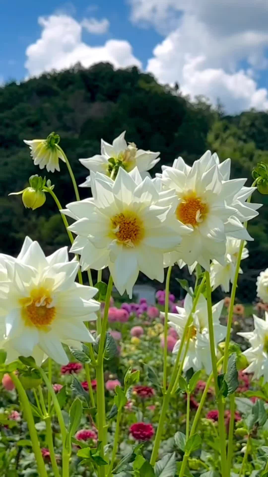 @내이름 이미자 ♡♡♡