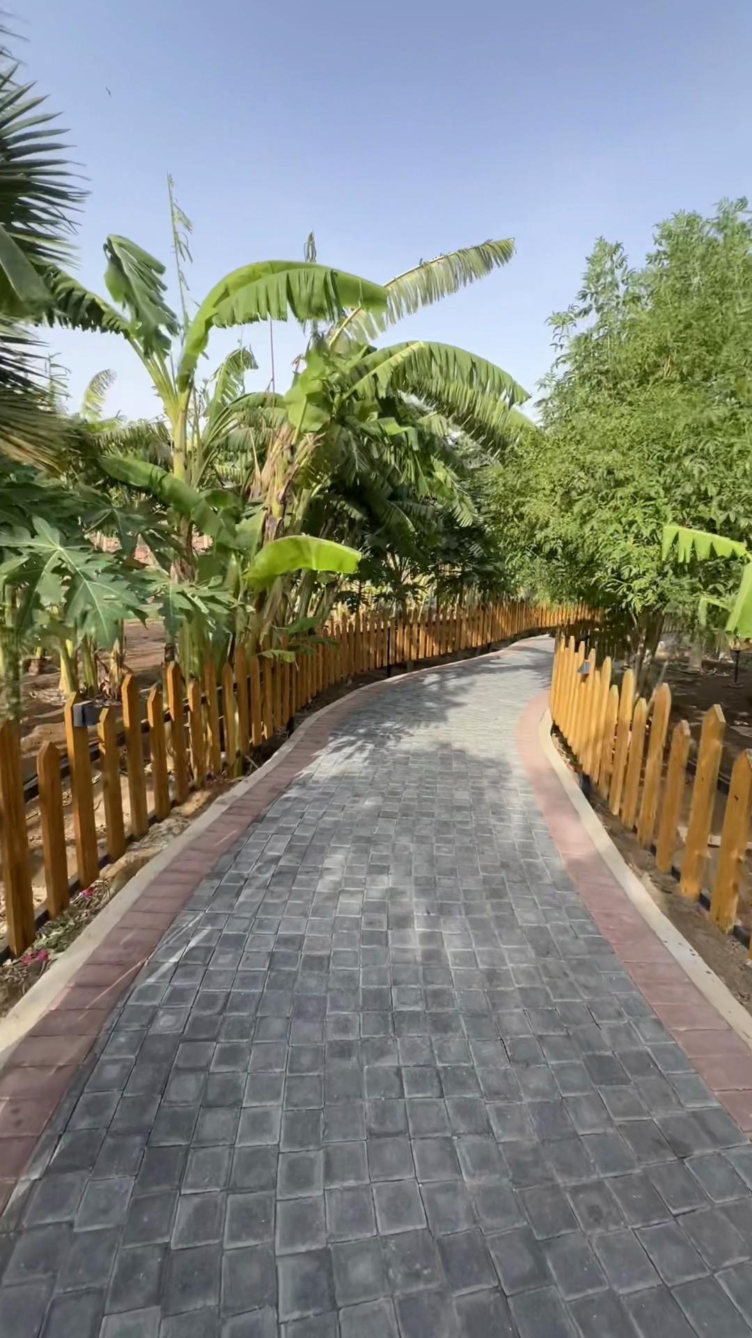 @سناب f.8425