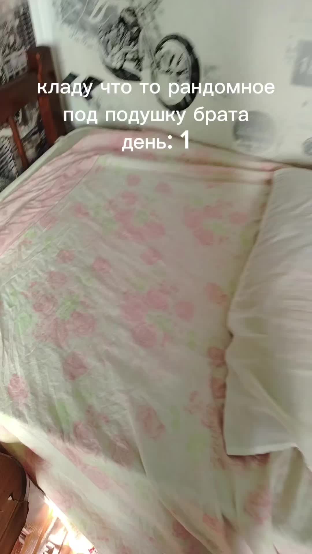 @крутая собака☑️