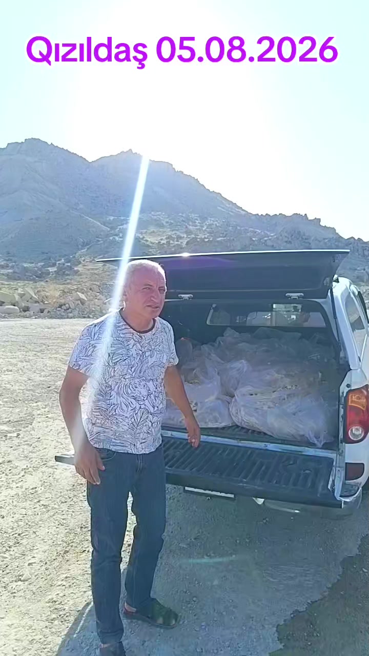 @Sahibsiz heyvanlara dəstək