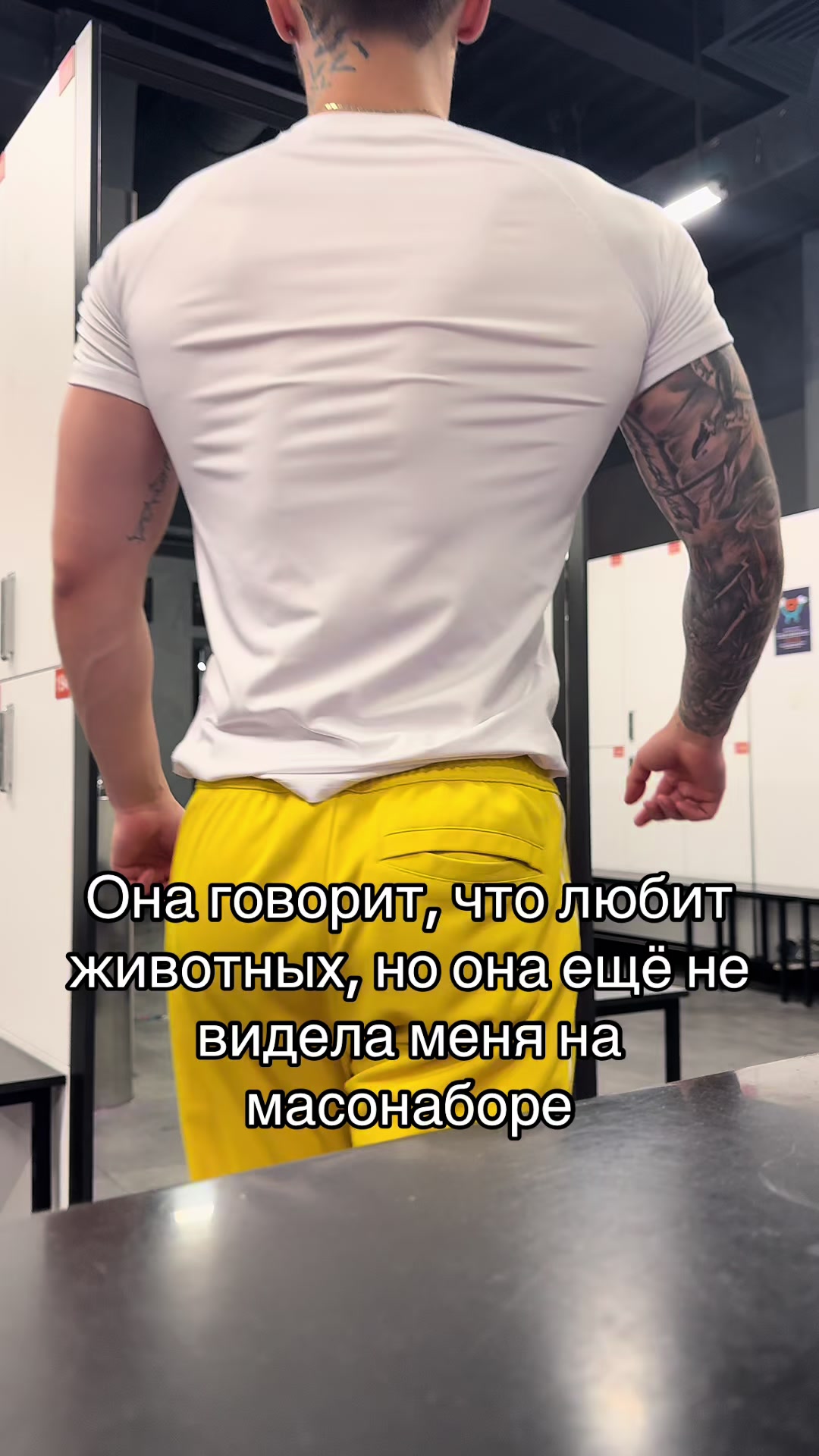 @GYM РОКС