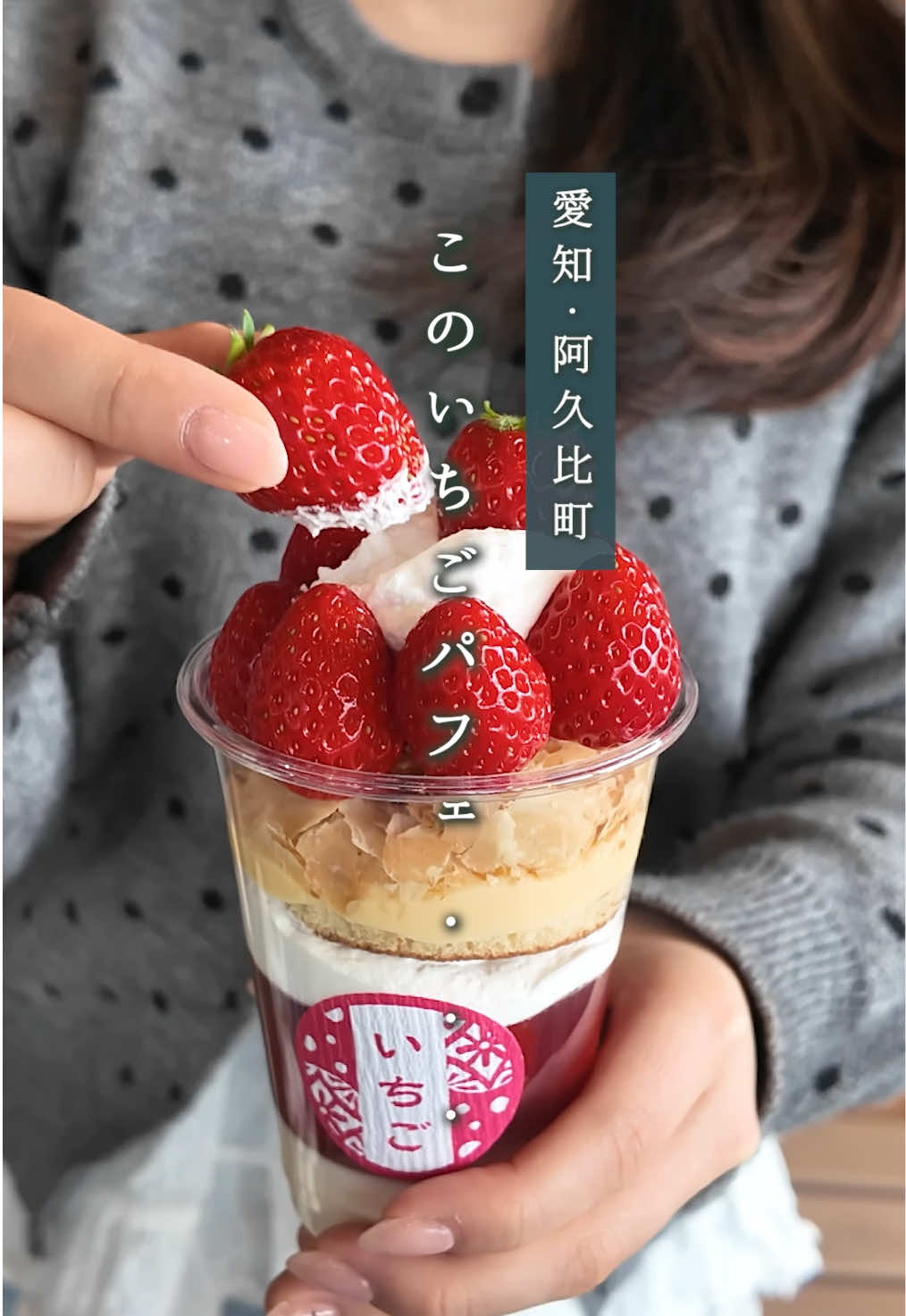 @ちたたび🦘愛知で遊ぶなら知多へ行こう