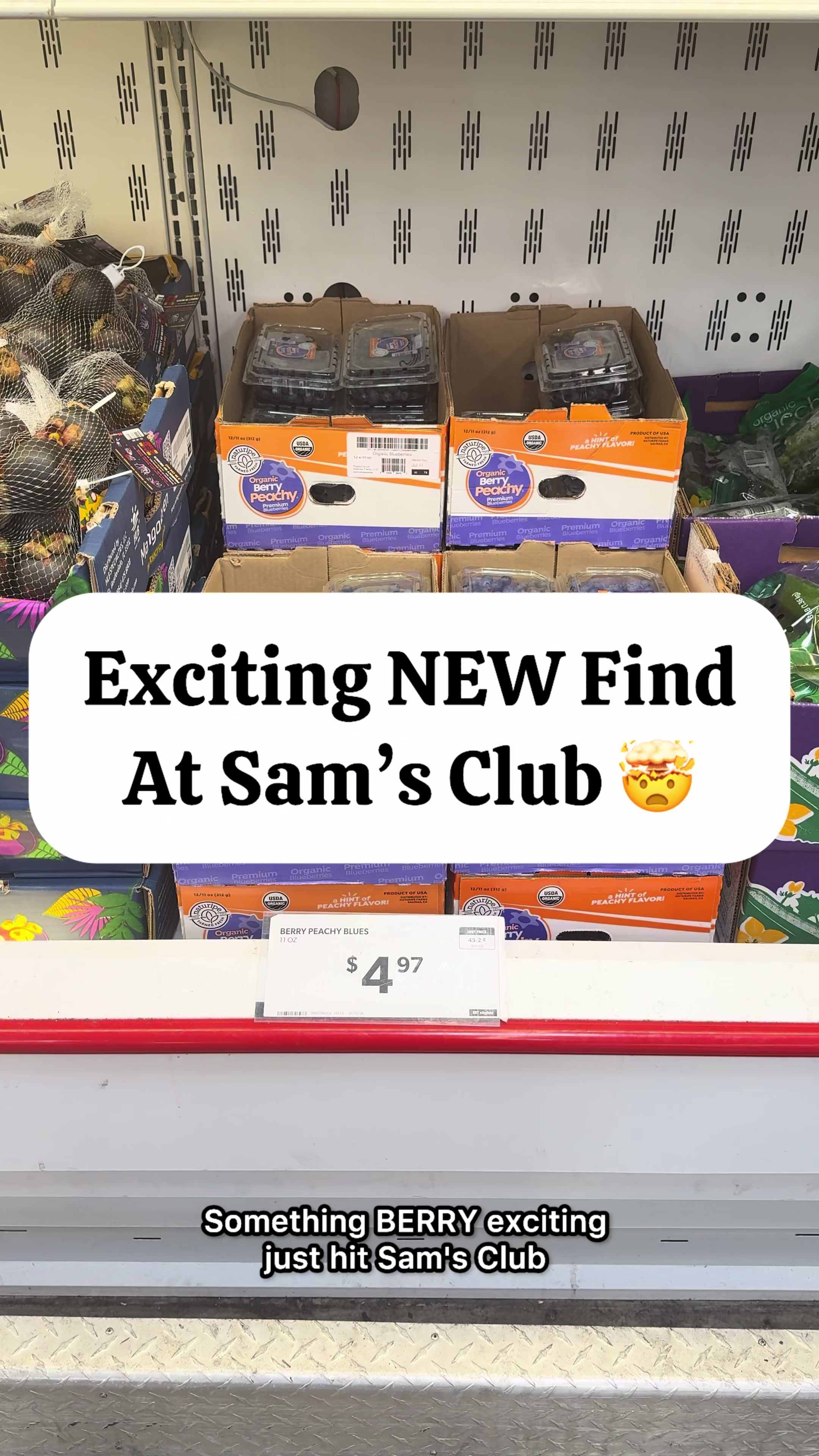 @Sam’s Club Food Review