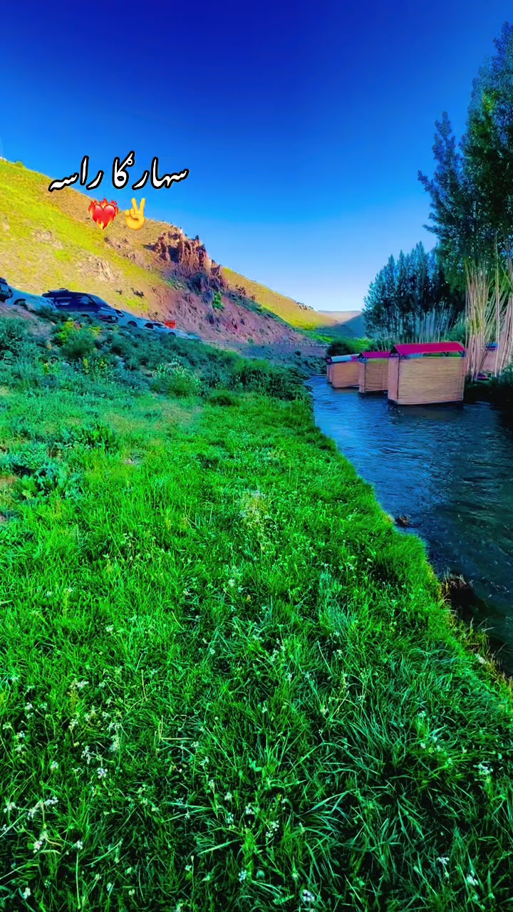 @𓆩. ᑎOOᖇI.𓆪
