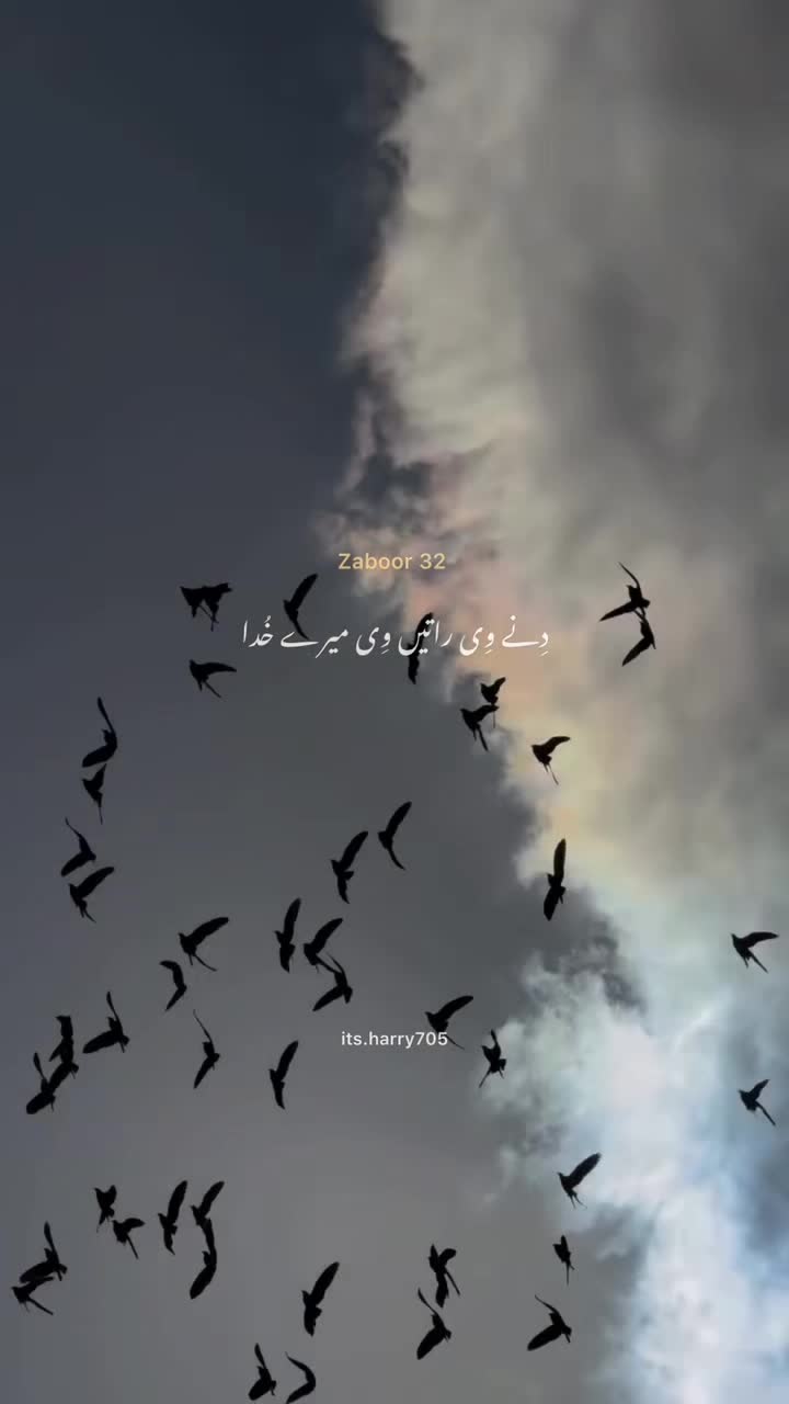@𝗛𝗮𝗿𝗿𝘆