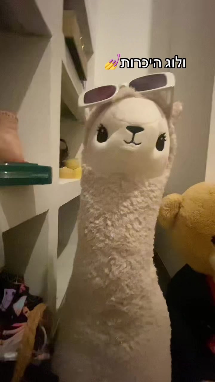 @שלומית הפיימוס 🦙🦙