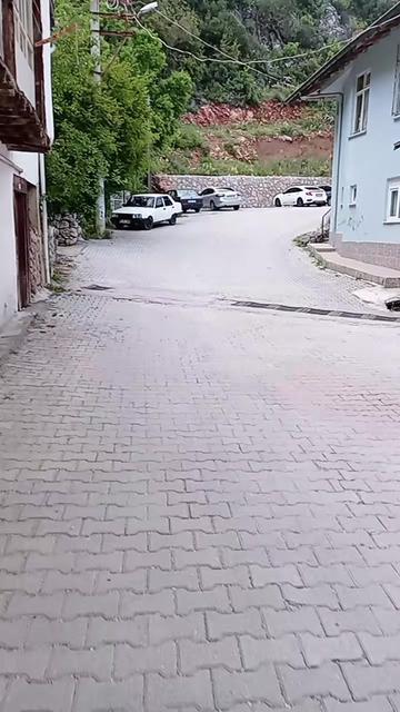 @32 Yörük mercangül 🌹 💕💕💕32