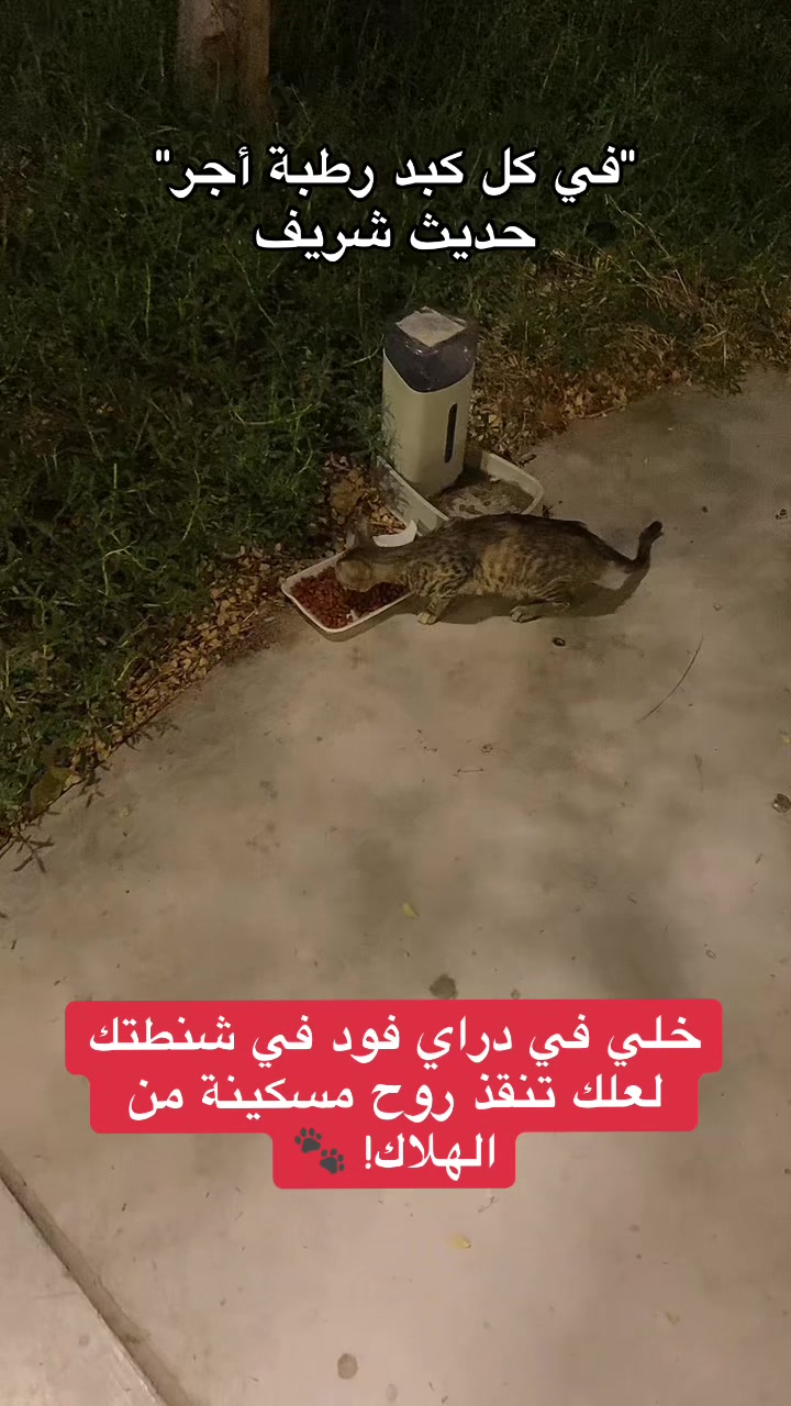 @مي فوزي فريد Mai Fawzy Farid