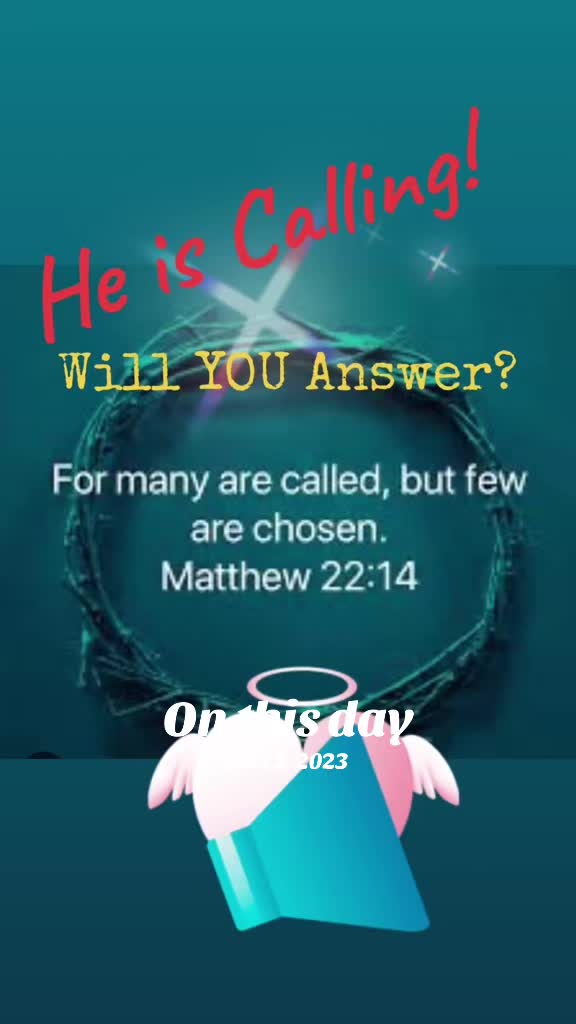 @Stephanie Neal 🦋💗