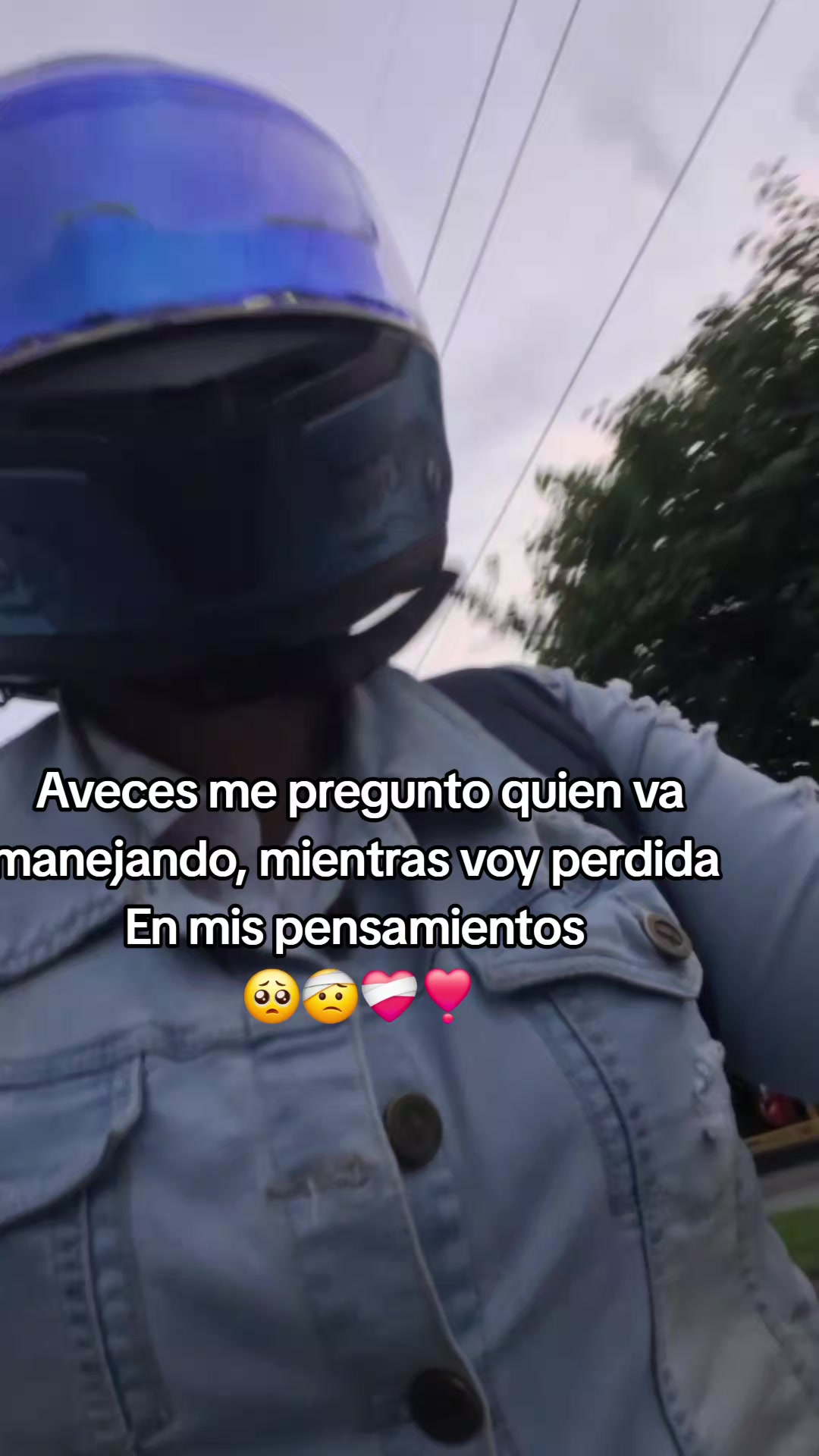 @Meredith Cano