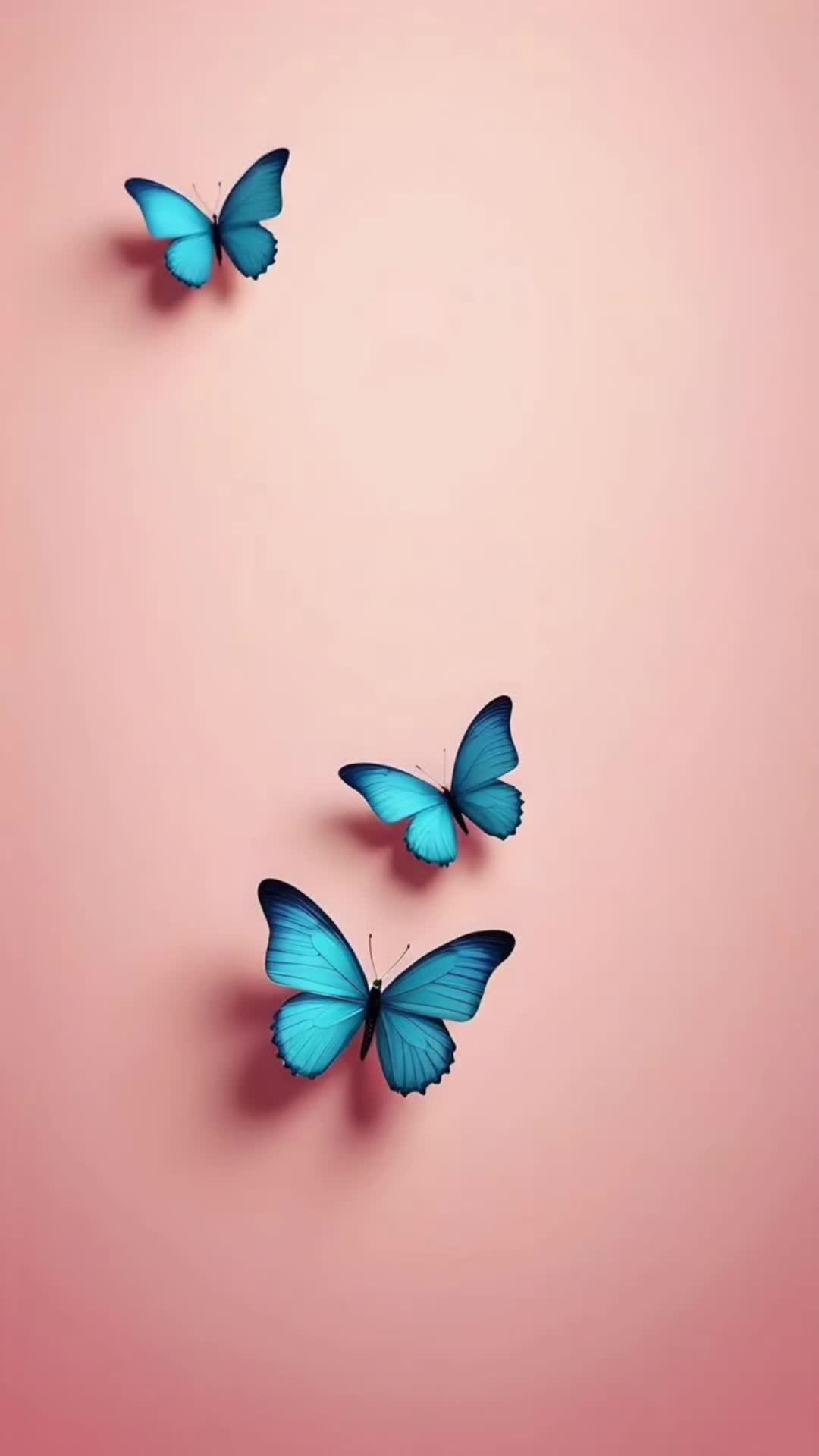 @tiy_891