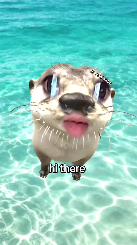 @โ<{๐ฒ๐ฆ_stay}>โ