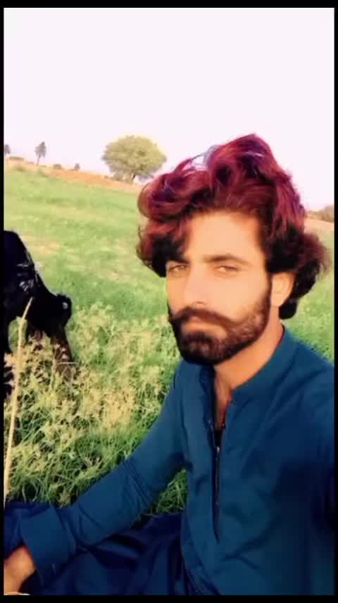 @qaum26