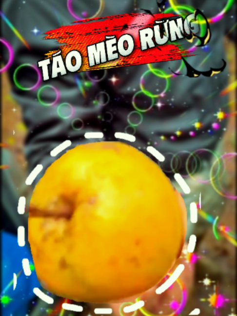 @Gió Kon Tum