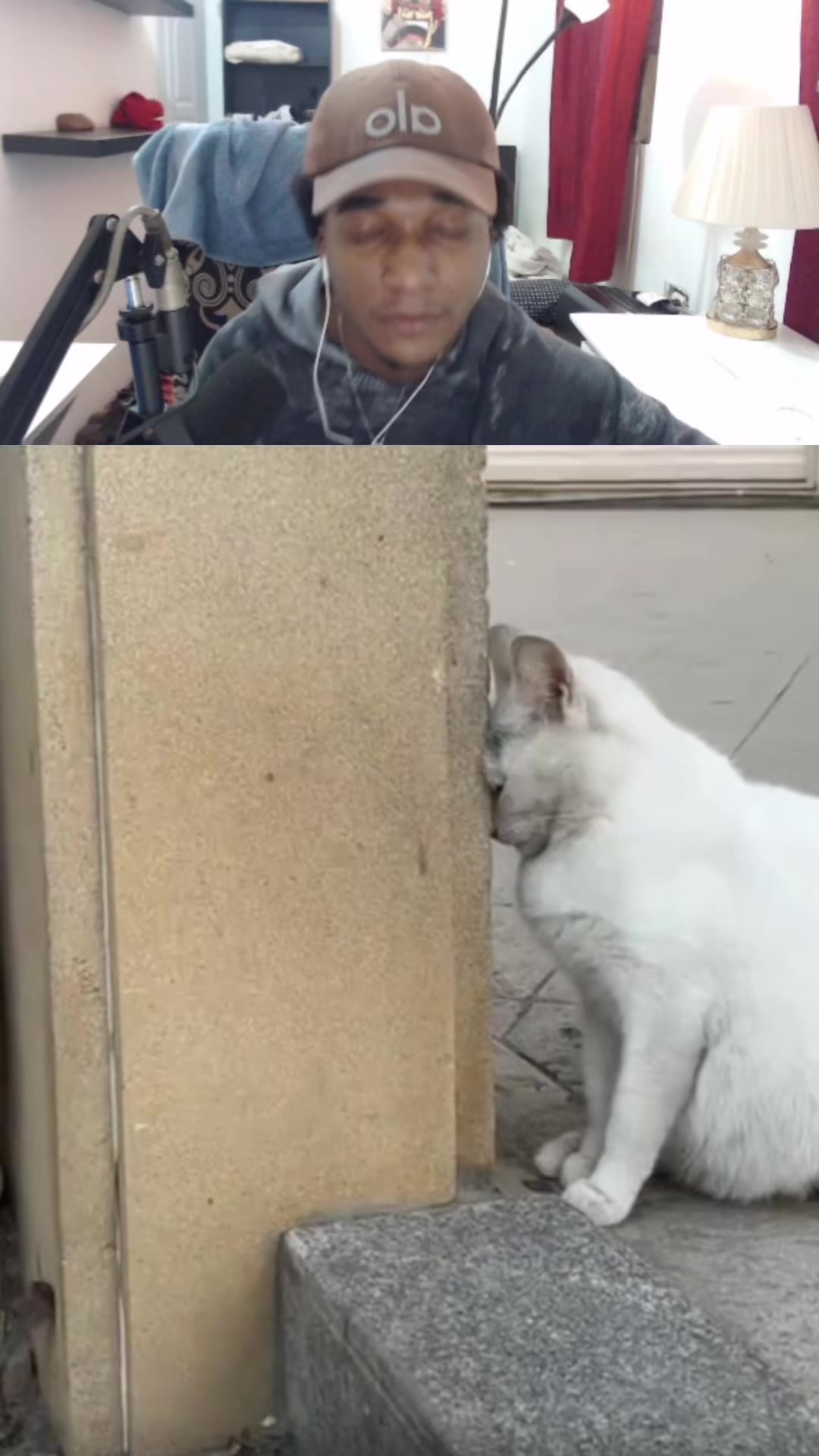@nardositooo