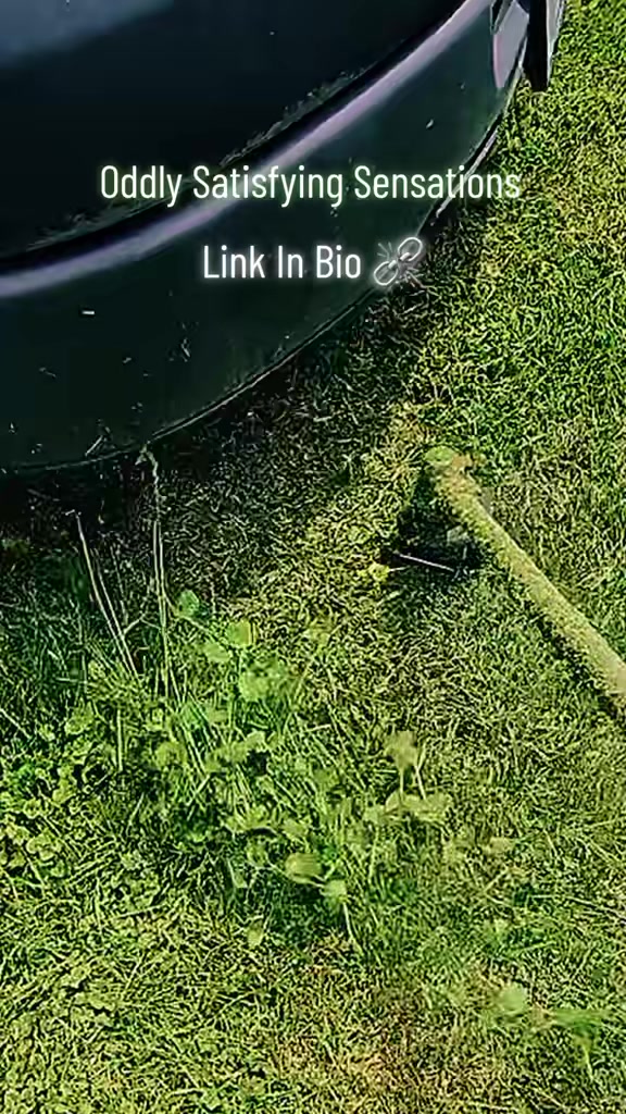 @Satisfying Mowing