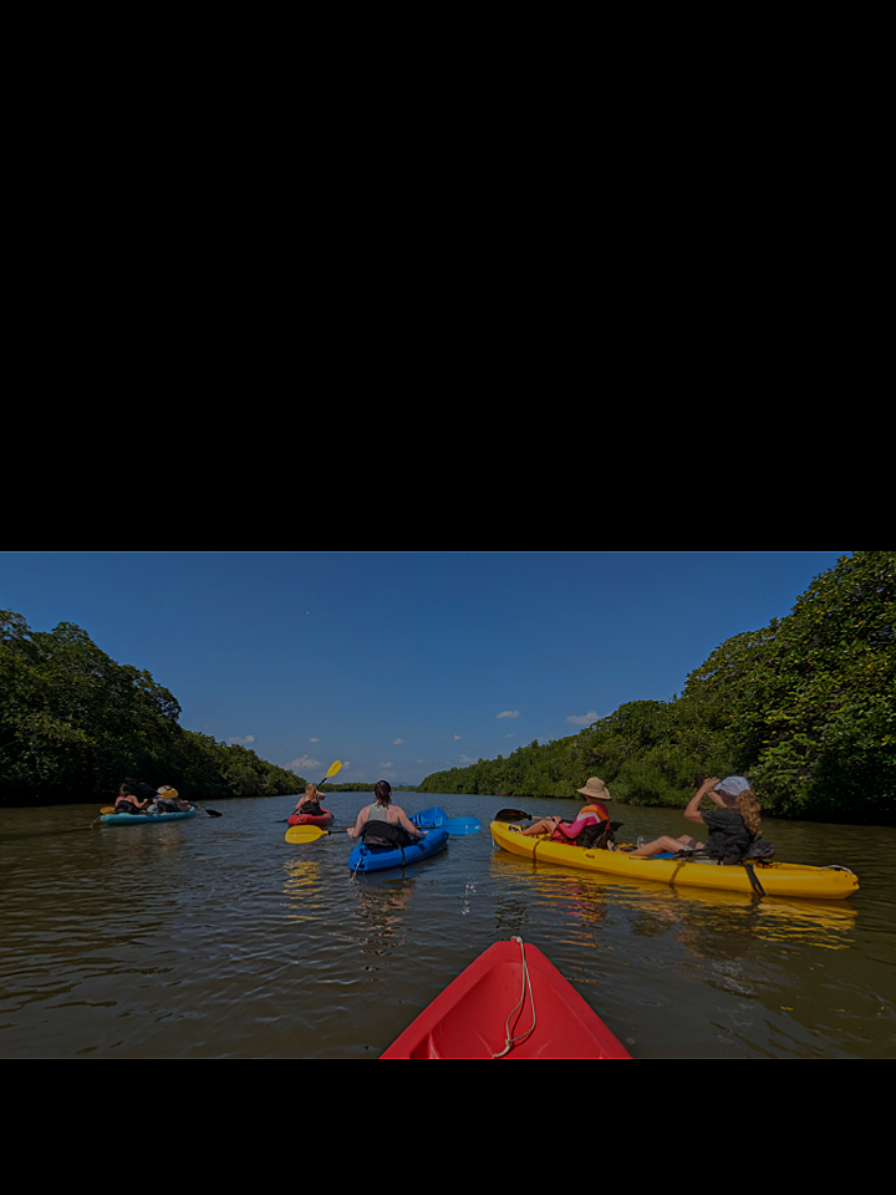 @Palmento Grove Belize