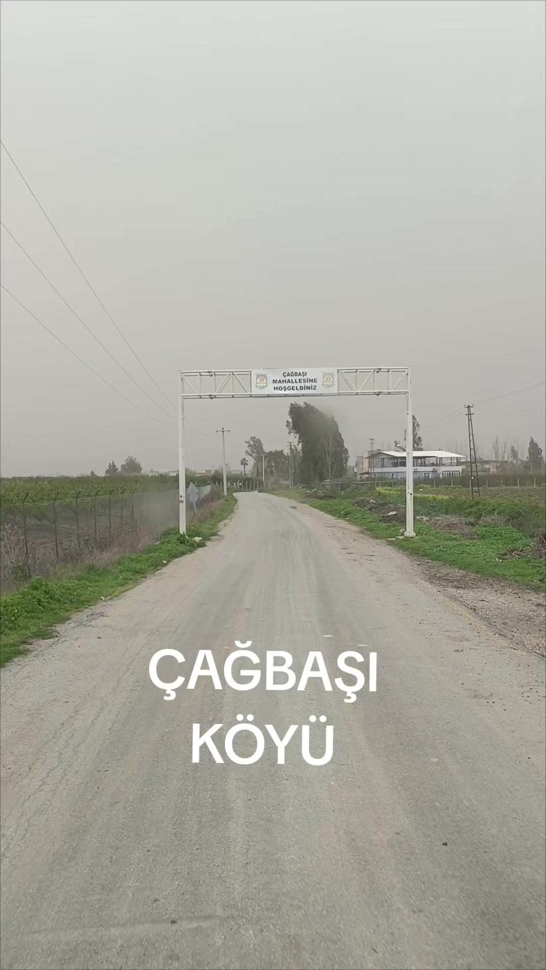 @sedat eregli 33 13