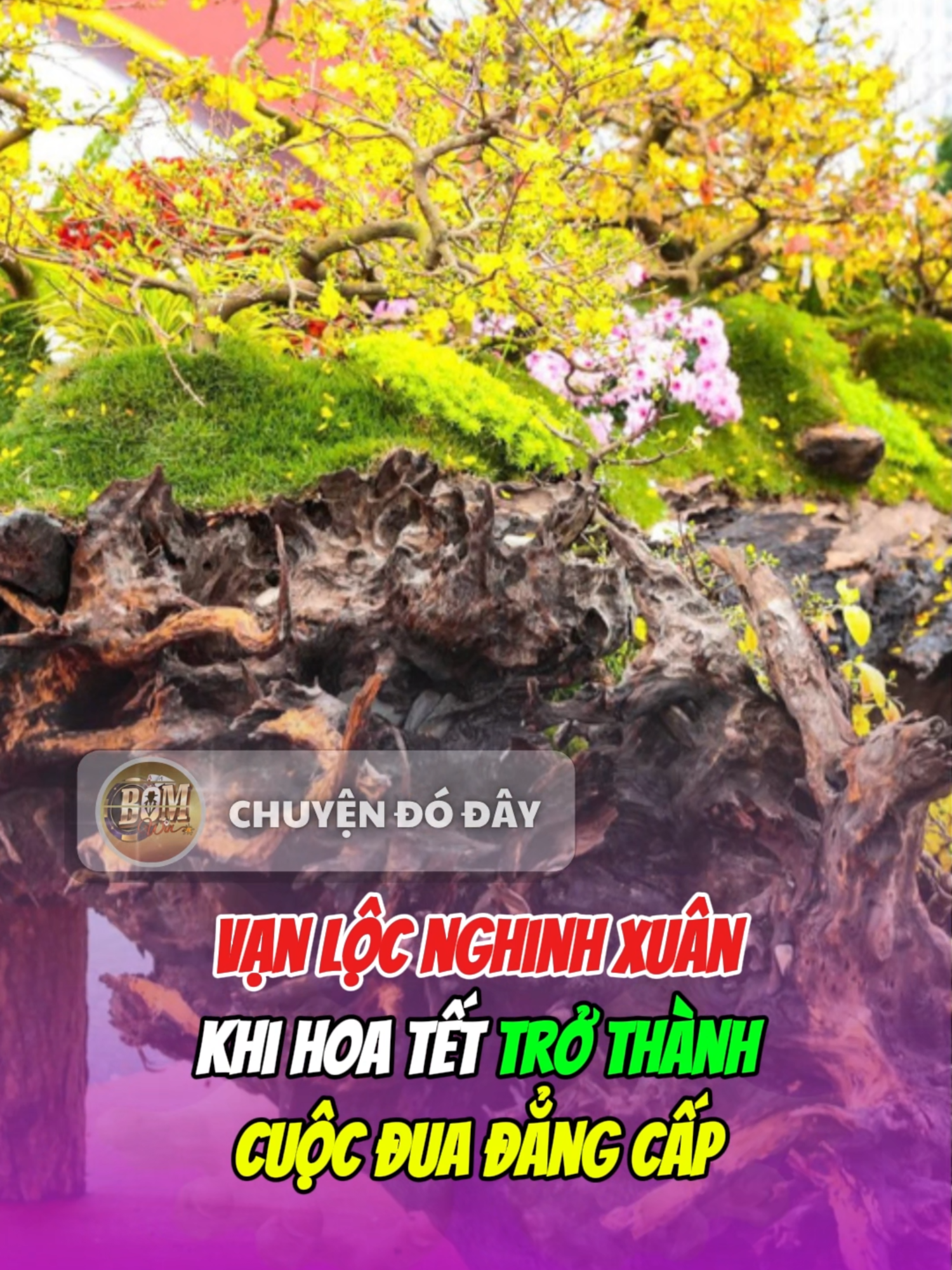 @Chuyện đ&oacute; đ&acirc;y
