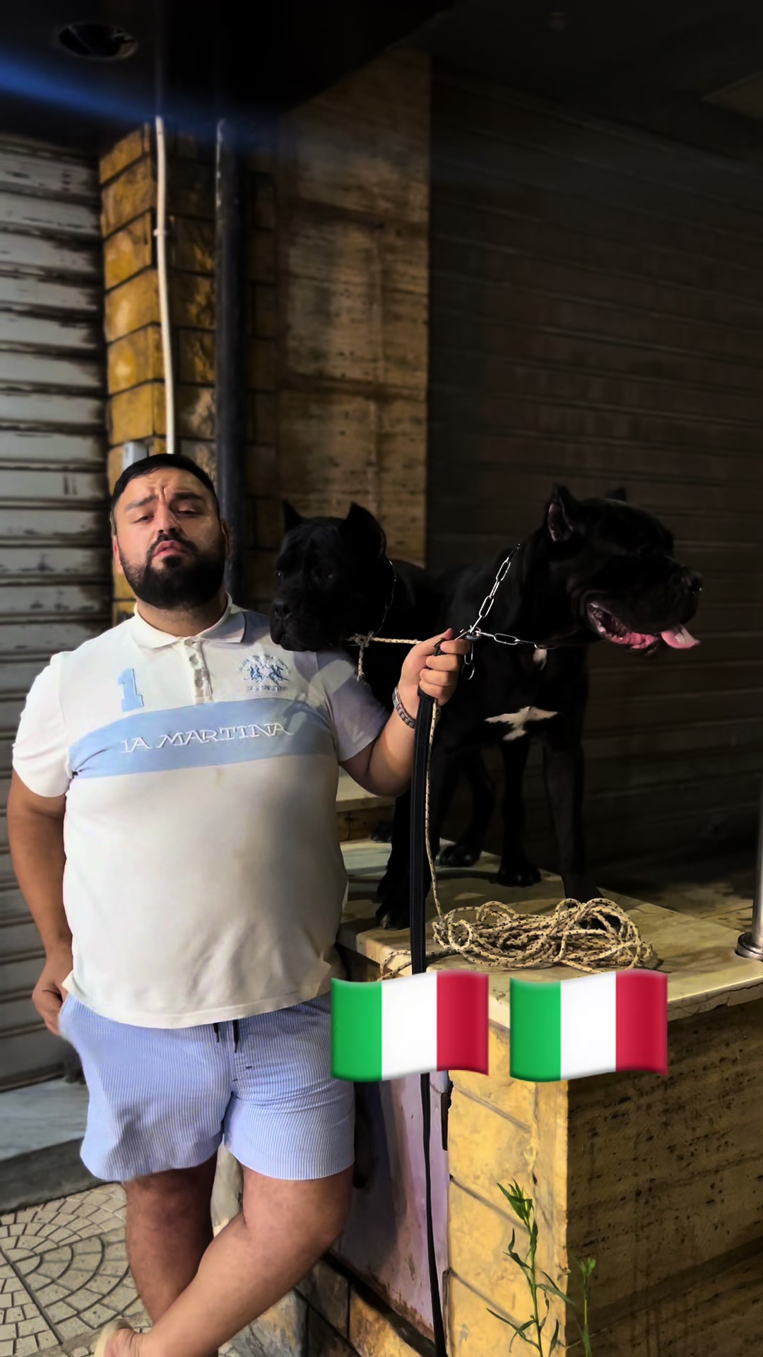 @عصابة كلاب الدوڨو&البيتبول🔥
