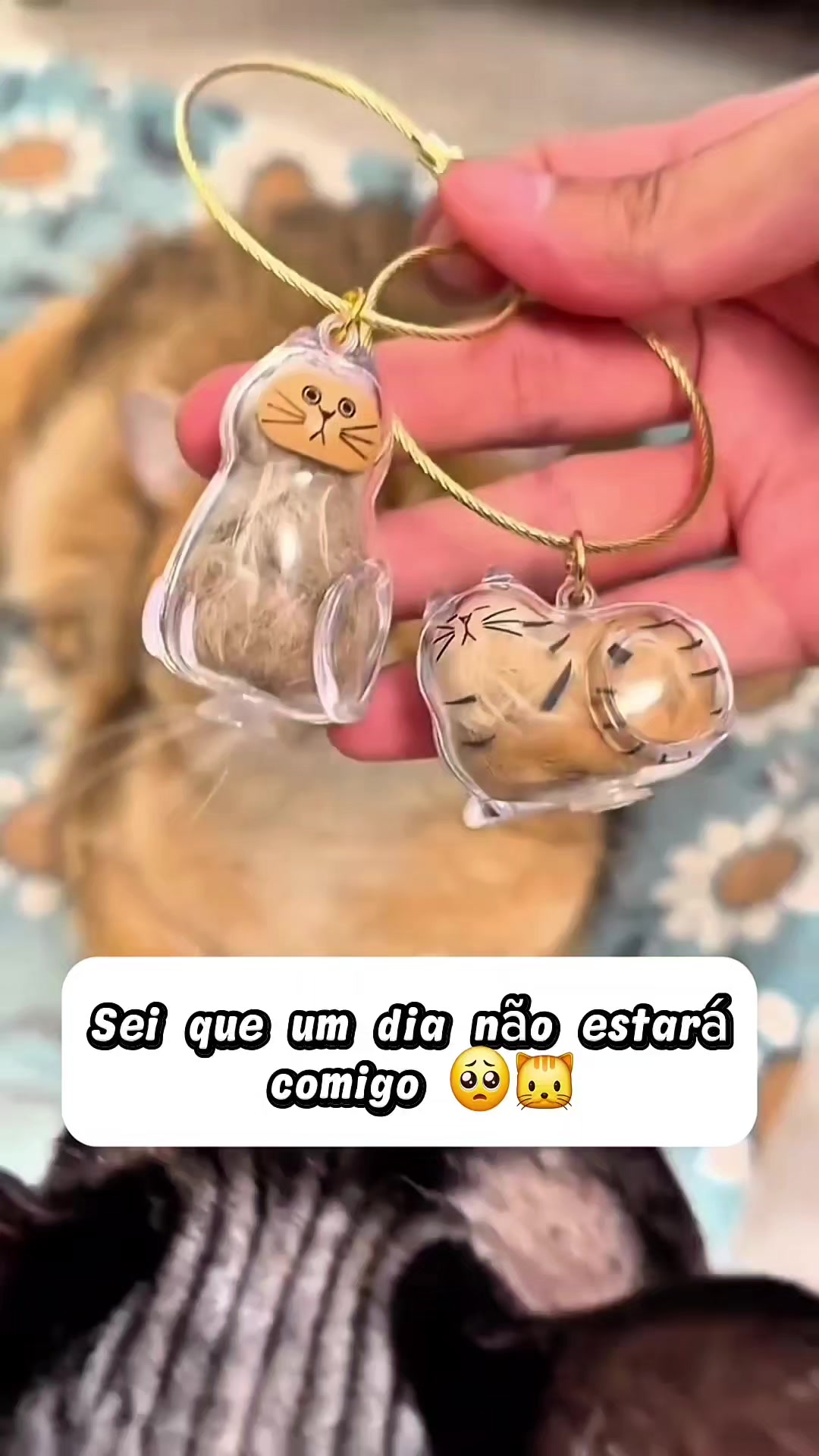 @Explore Aquii 🐾🐾✨️