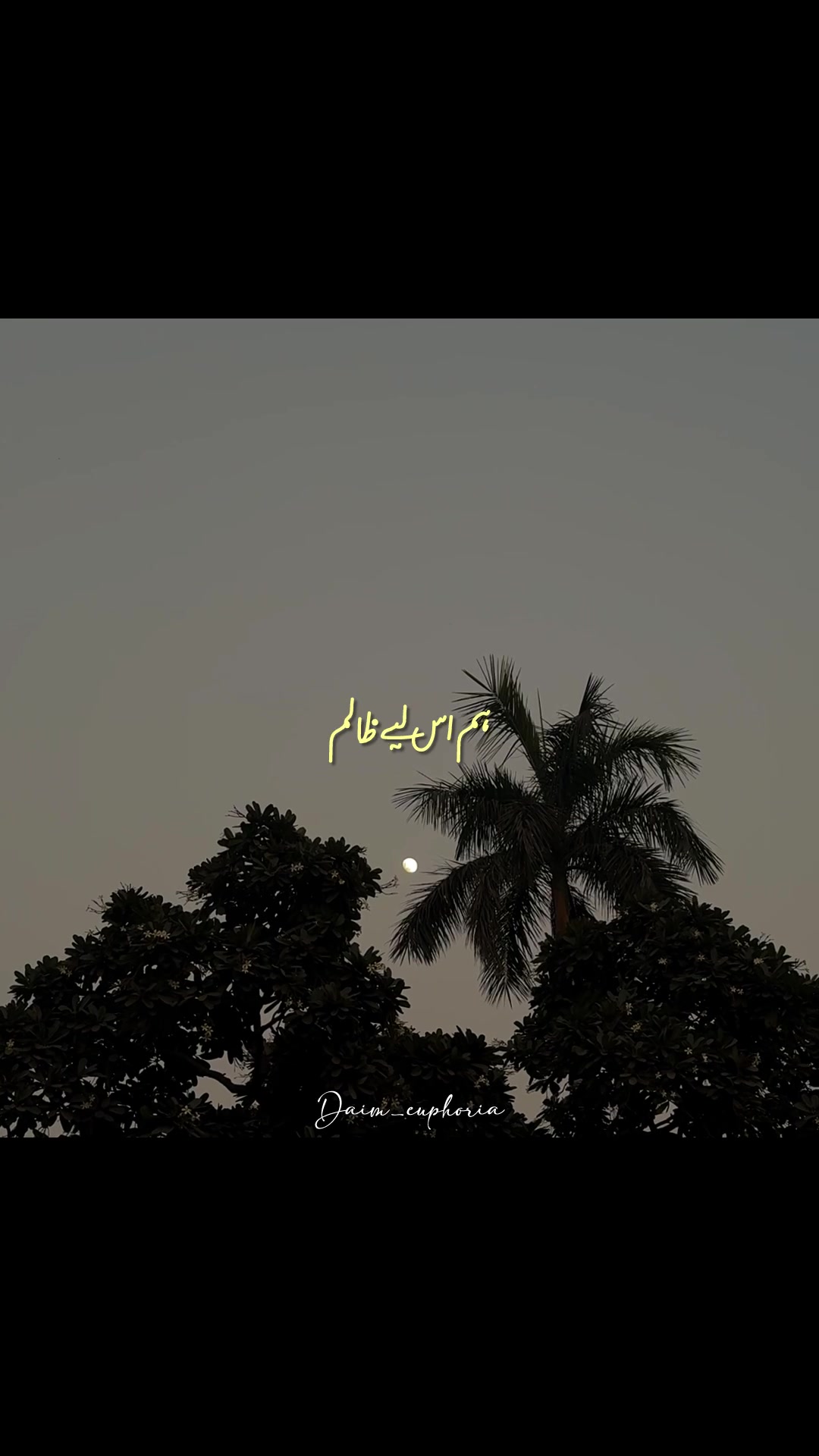 @daim_euphoria
