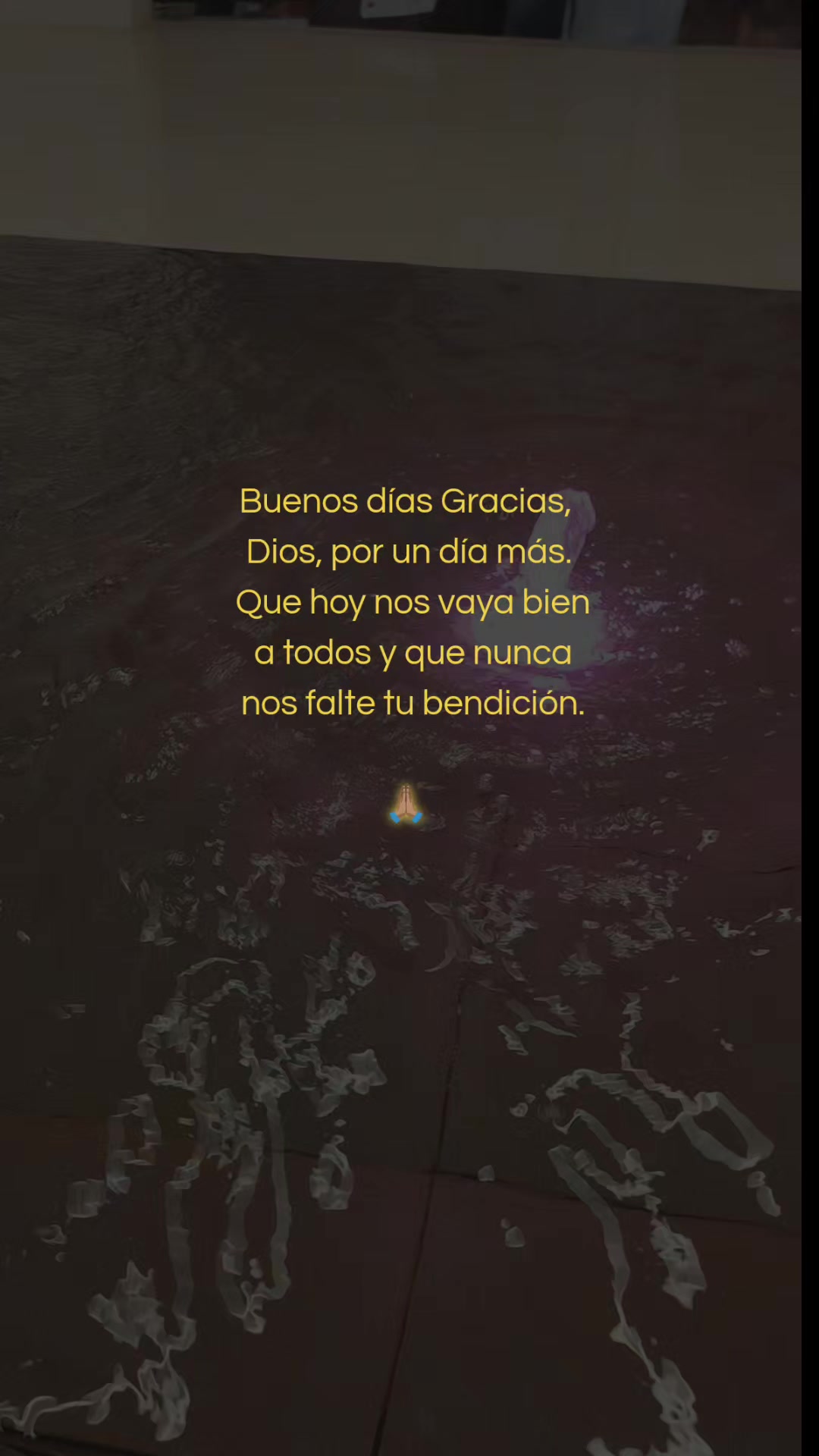 @Linda Cardona 🪼🪐