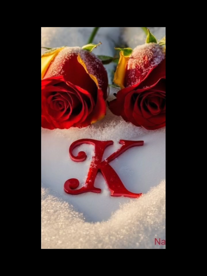 @Ms Queen ❤️