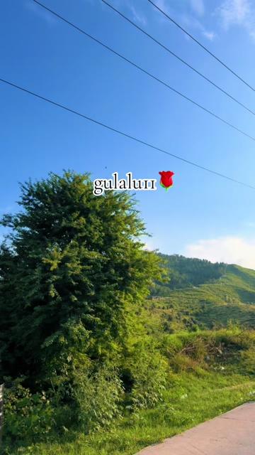 @Gulalu🌹🦋