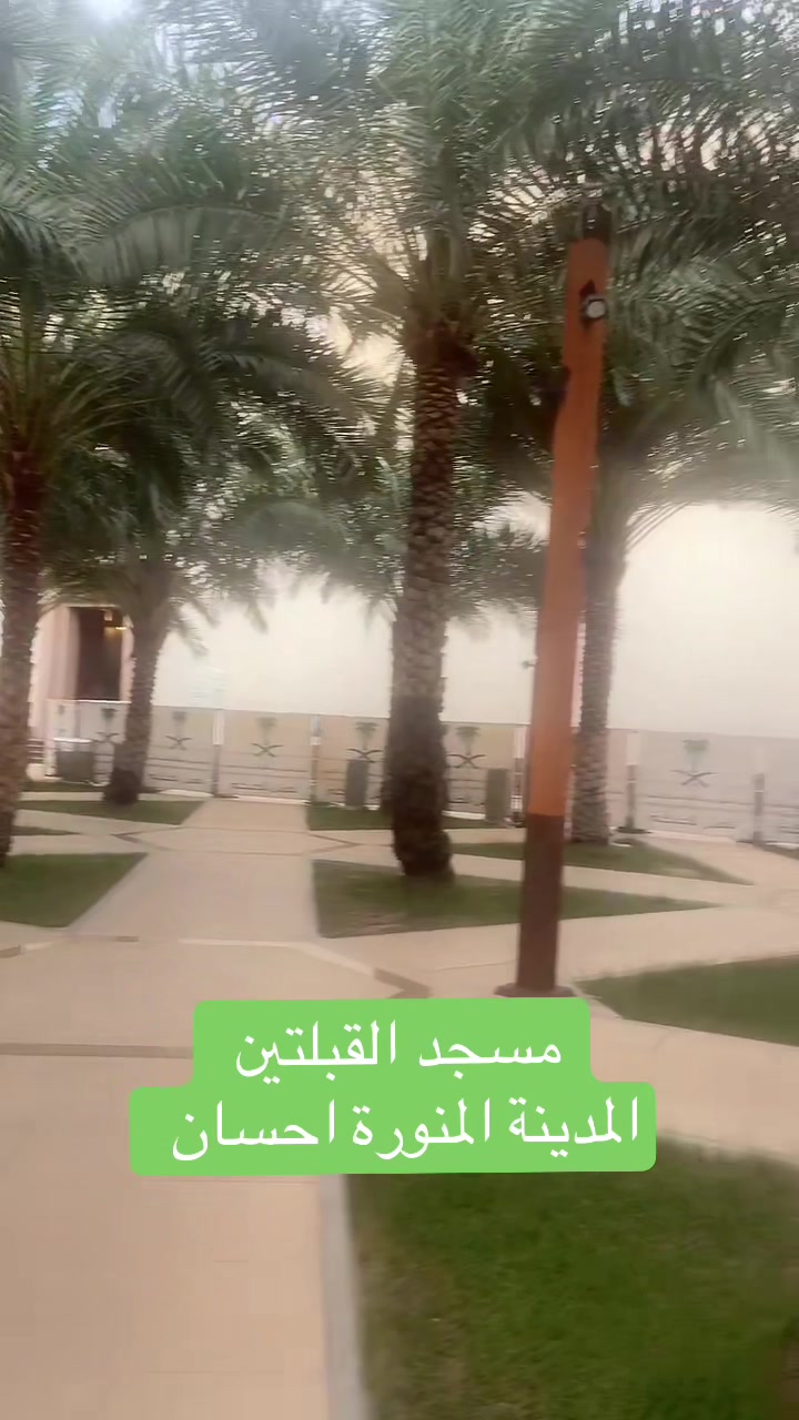 @Mahmoud Mirza