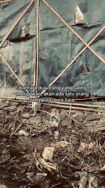 @DISA