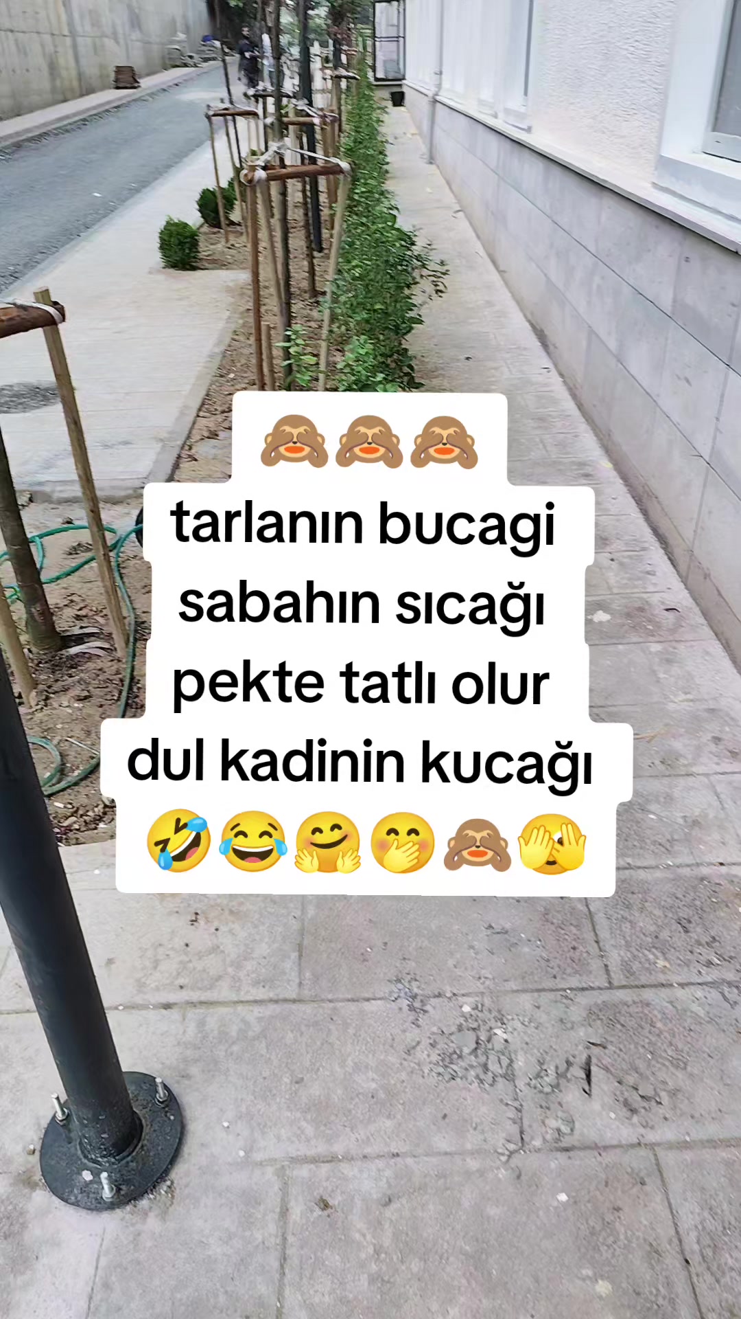 @☪⃝🕊️ѕυѕкυи кяαℓ☪⃝👑