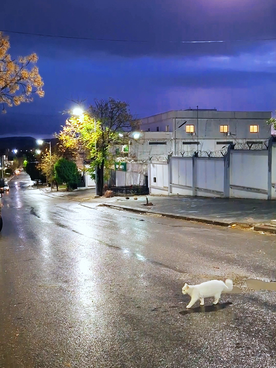 @مُسْـ☪ـلـم | 𝑴𝑼𝑺𝑳𝑰𝑴  ✪