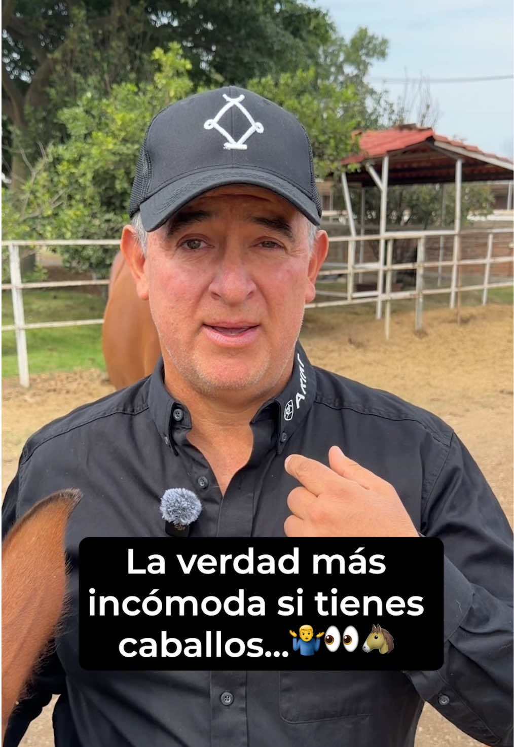 @Agua Zarca, Caballos Españoles