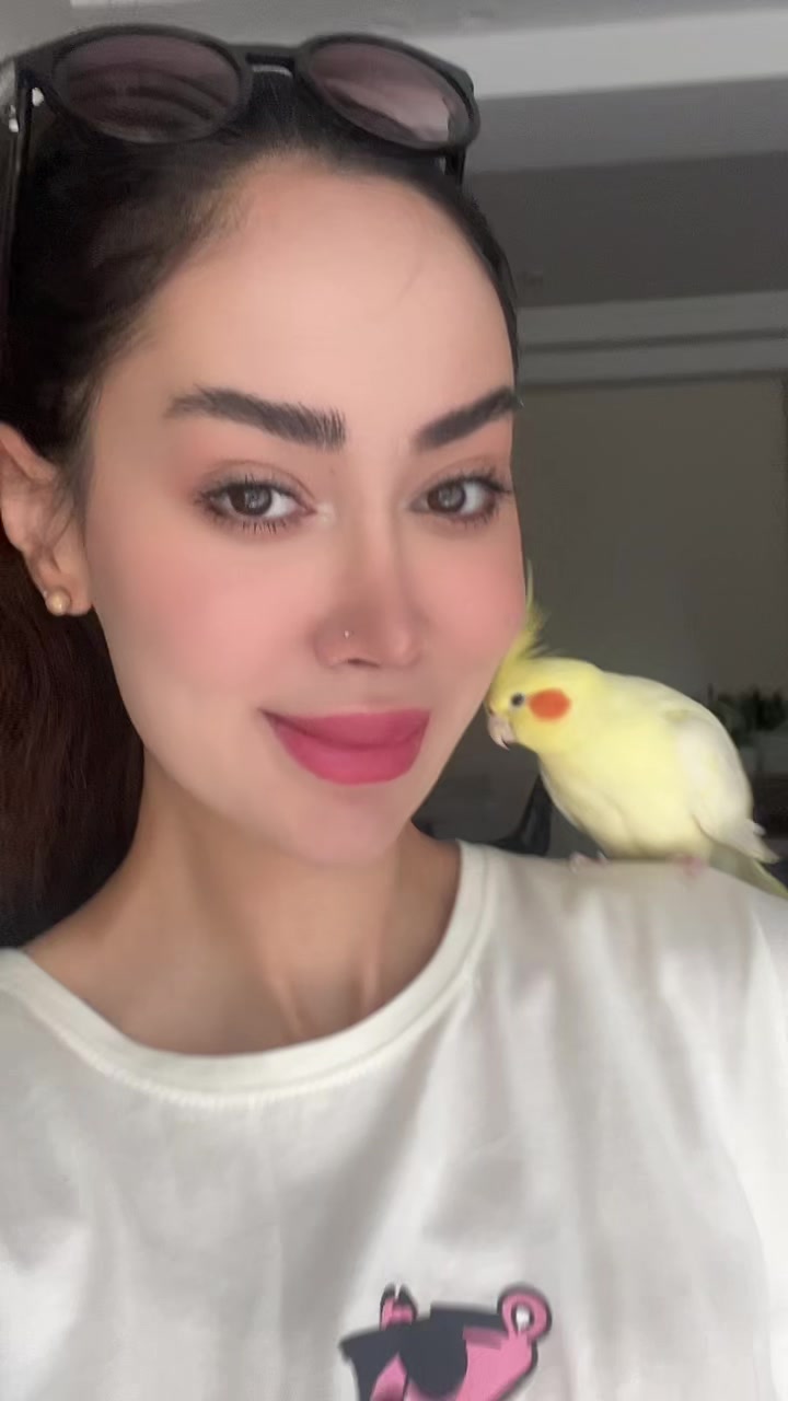 @frnzmohmdi