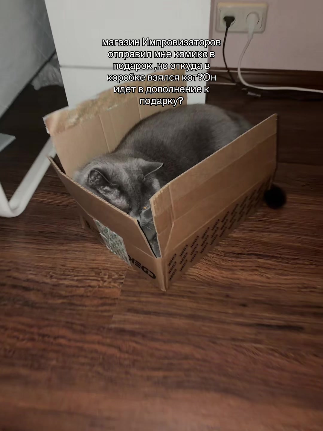 @крашик года