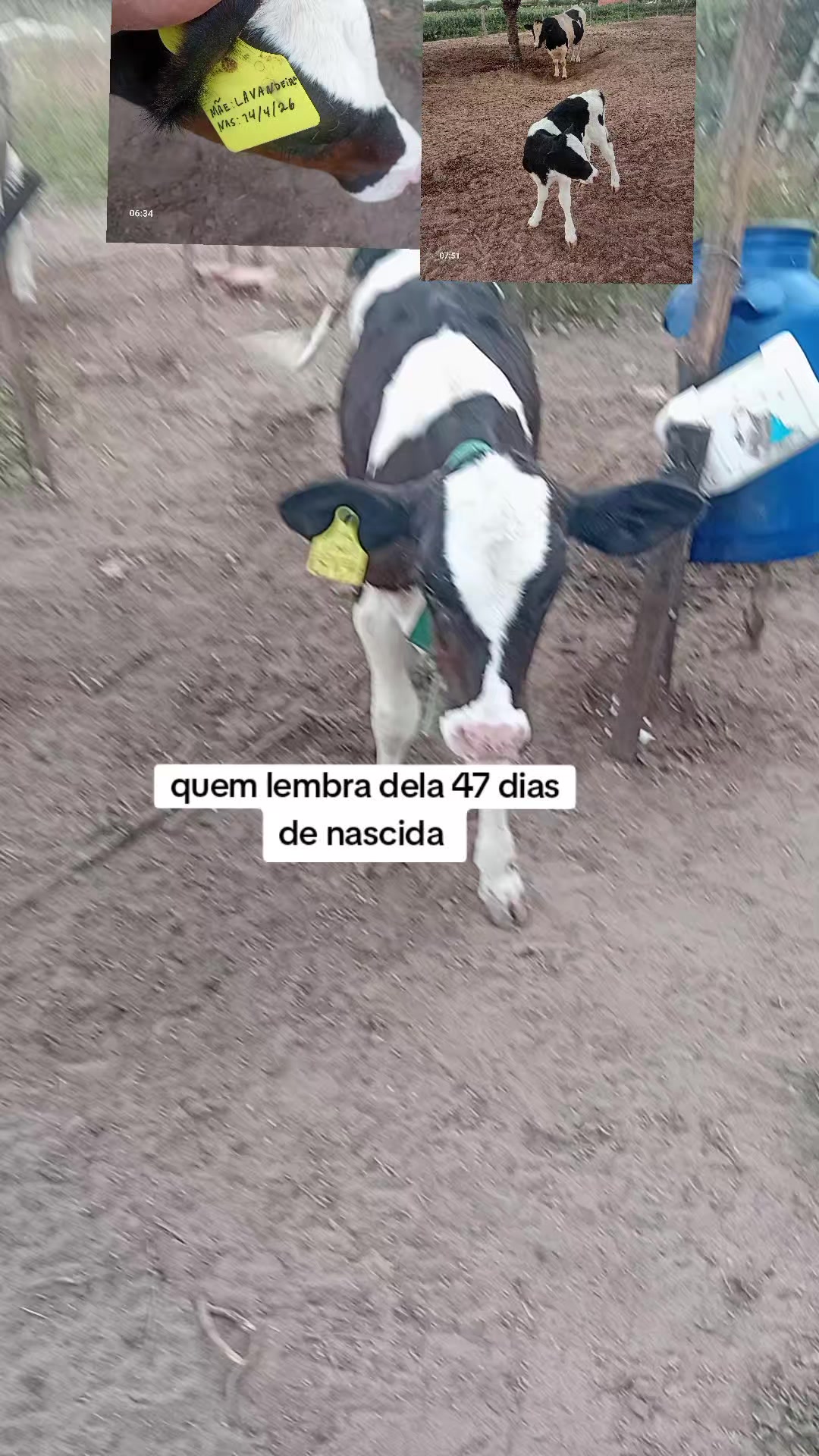@jocriador