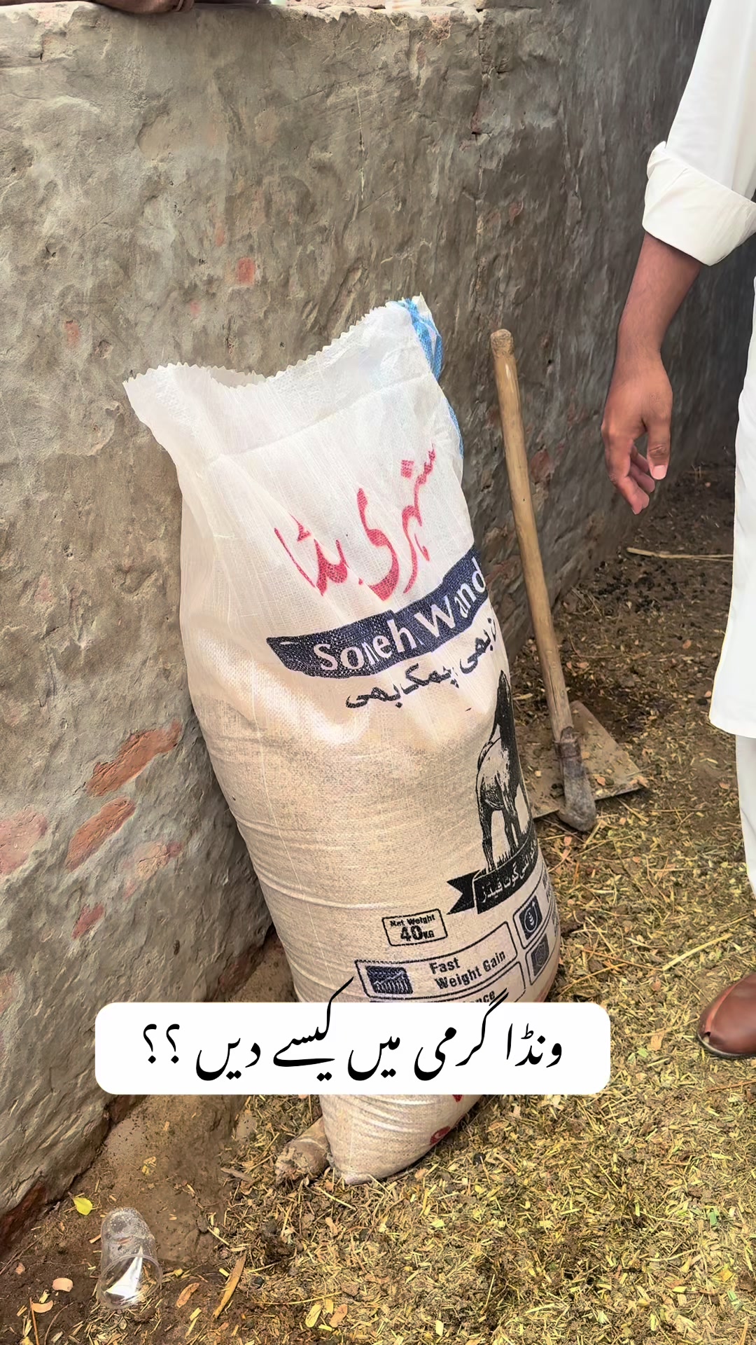 @Dr.Mohsin