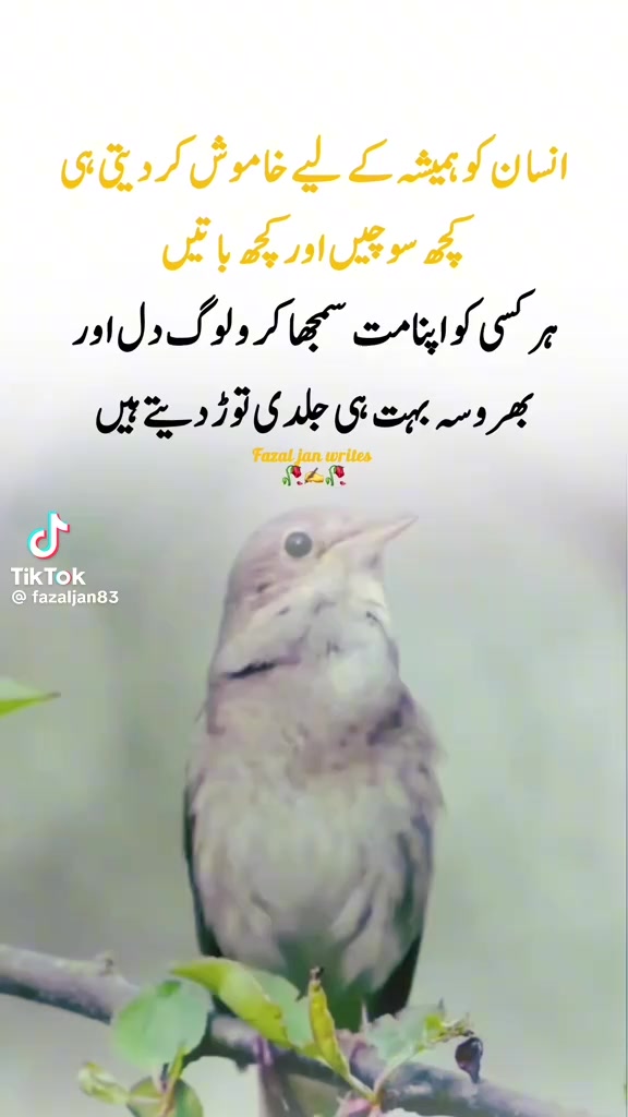 @Abdul ghafor