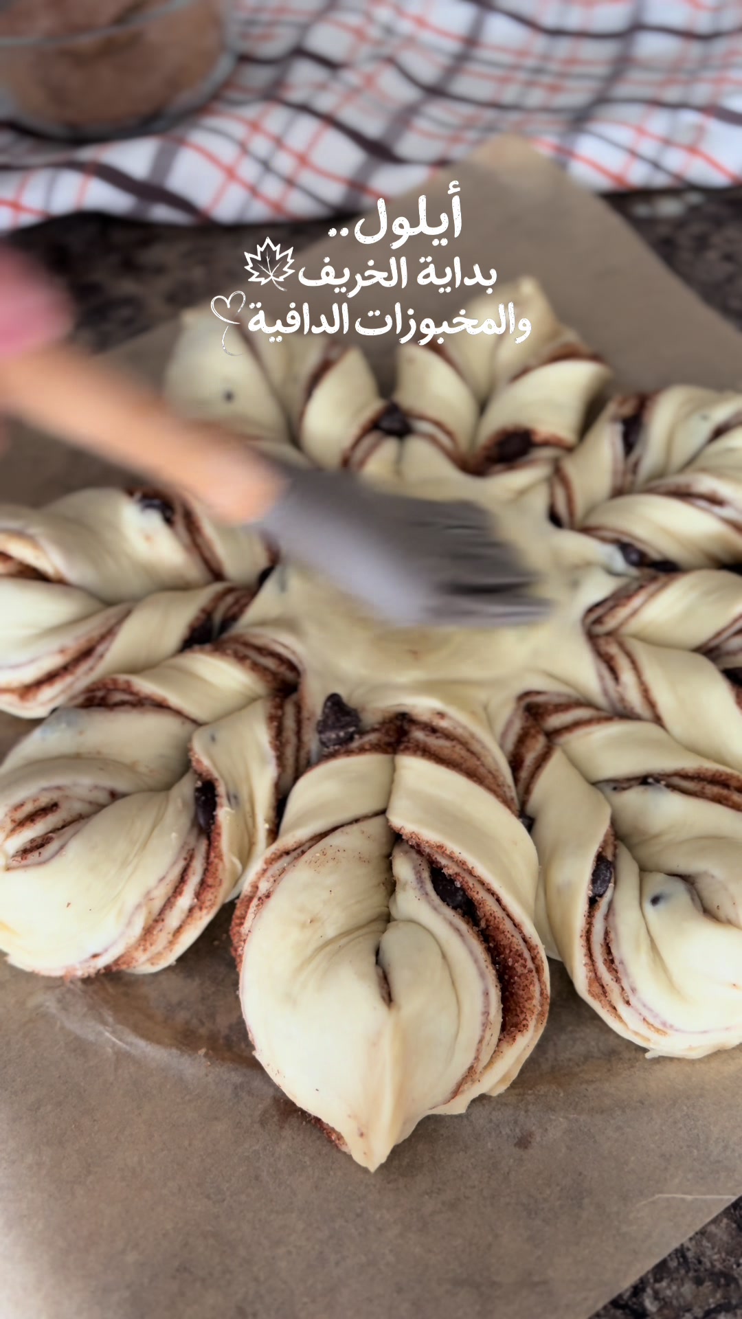 @Ruba Jaradat3