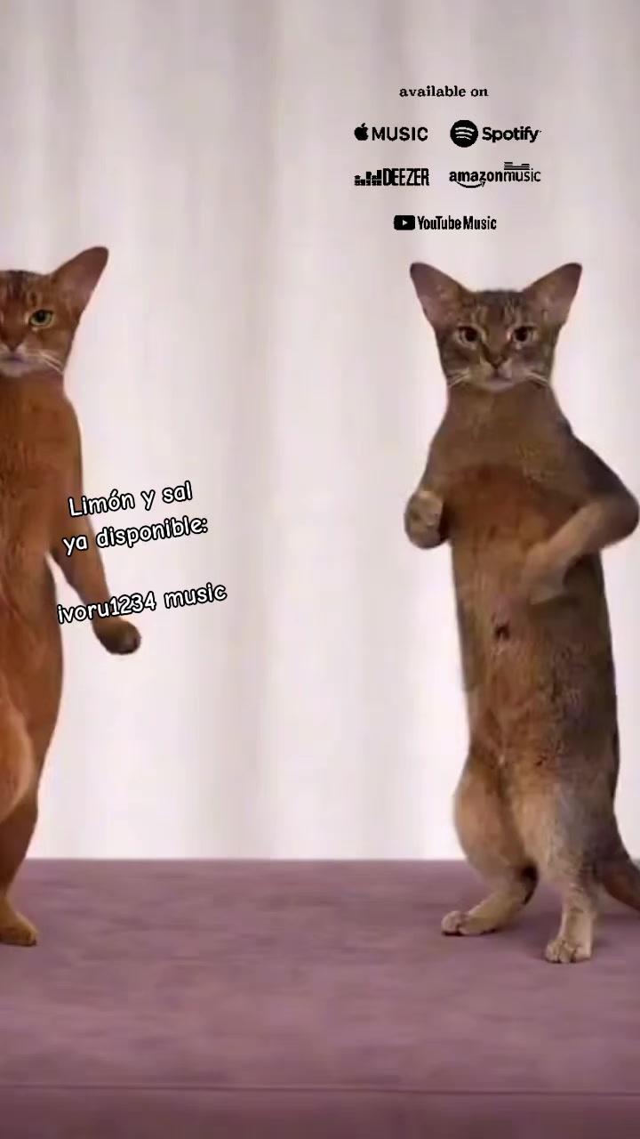 @Ivonne
