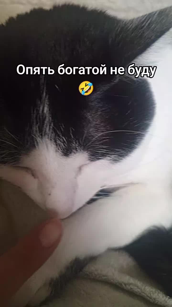 @ryzhy_demon_174