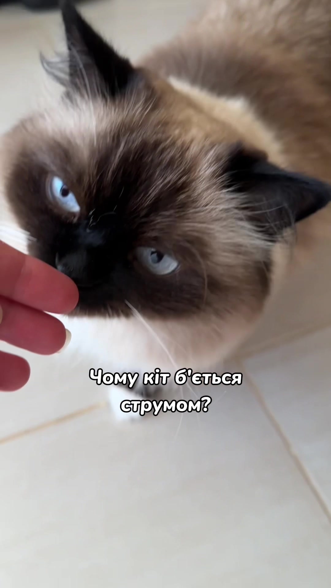 @Місс КІСЯ